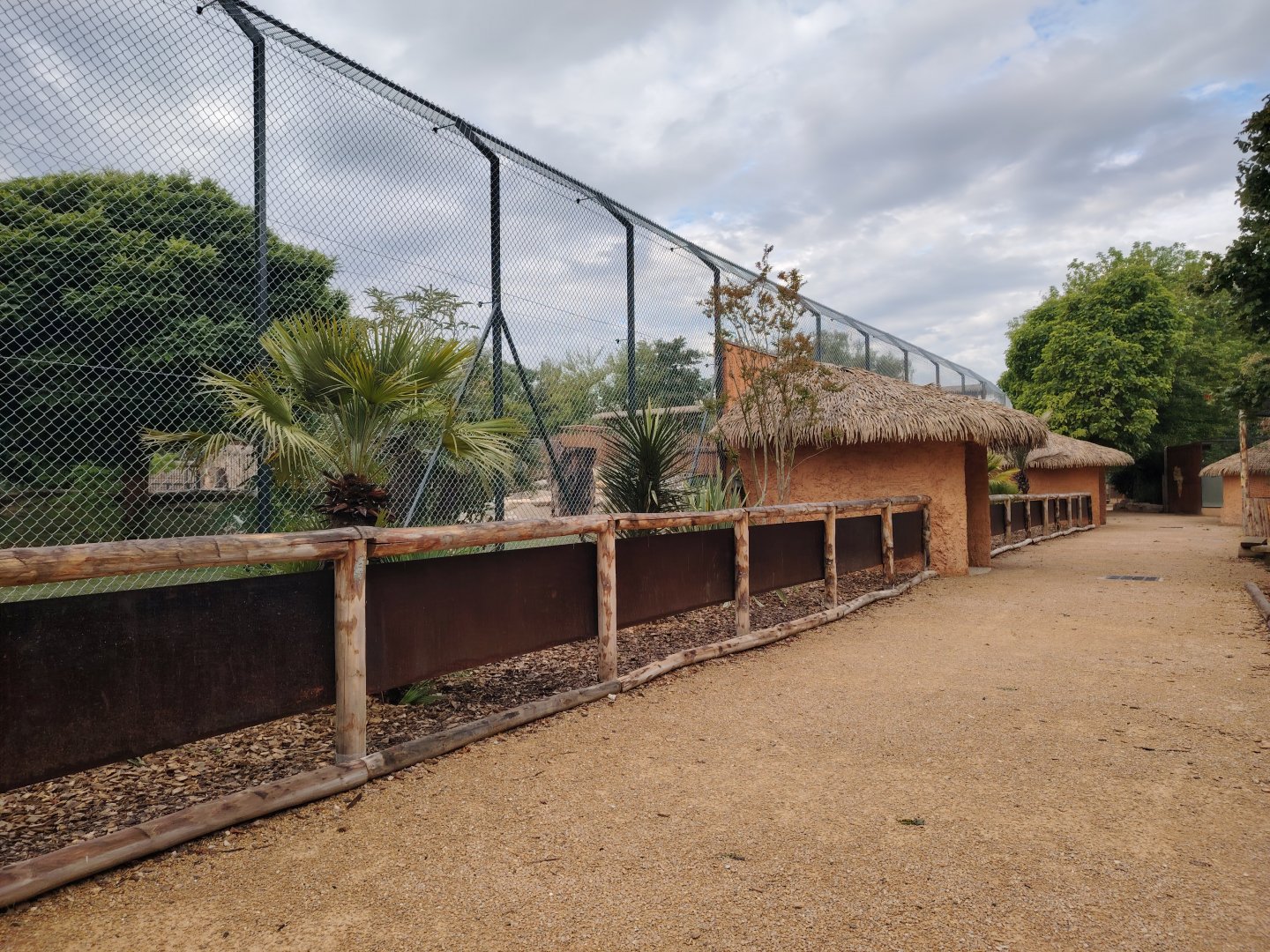 African Lions Exhibit