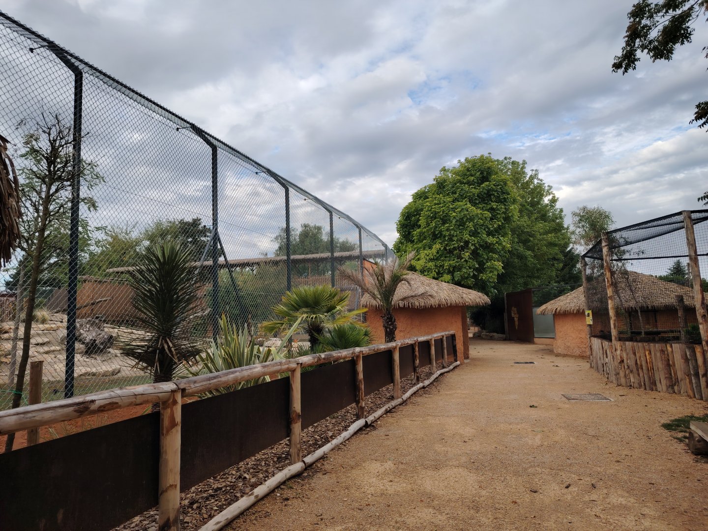African Lions Exhibit