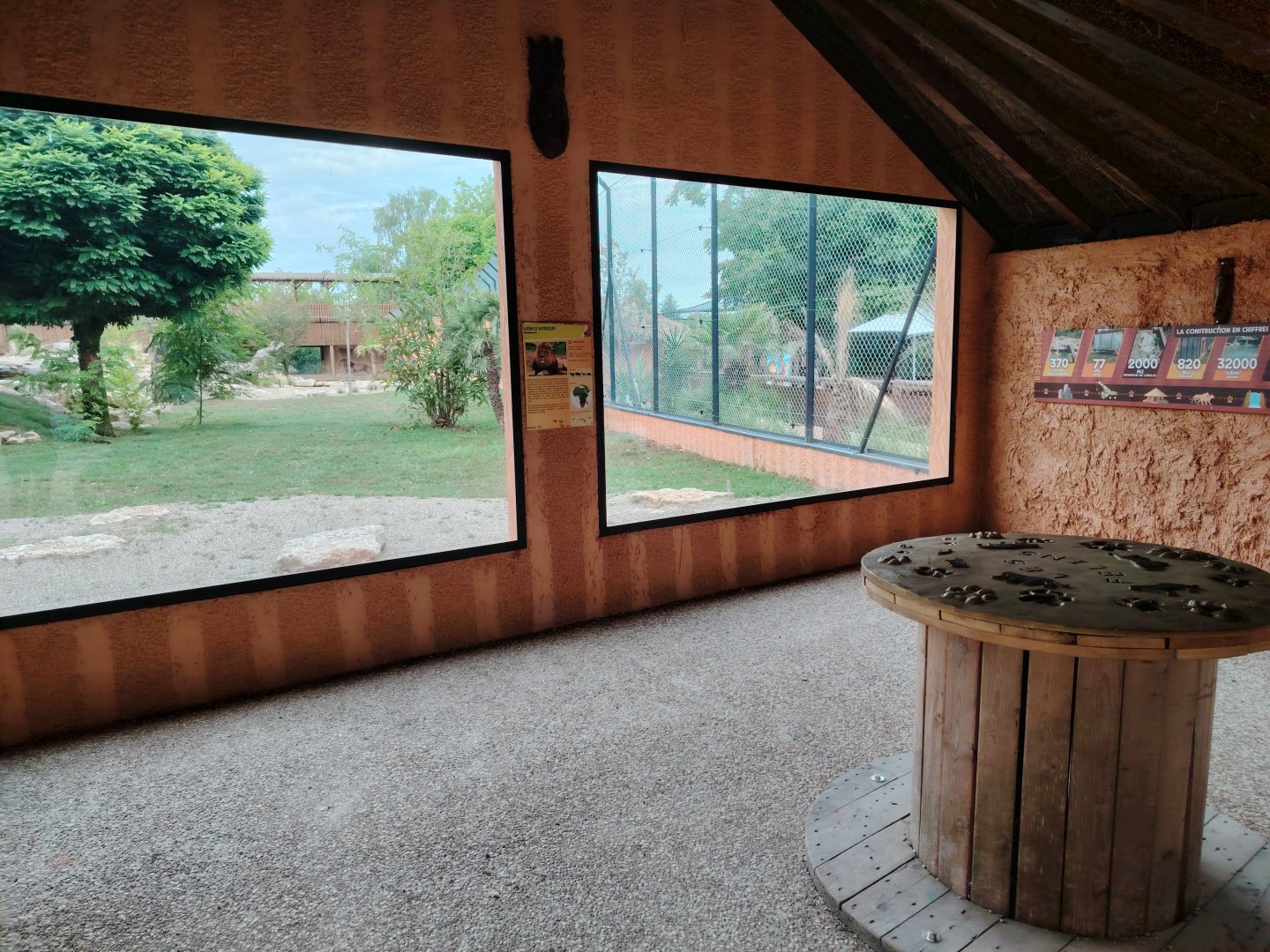 African Lions Exhibit