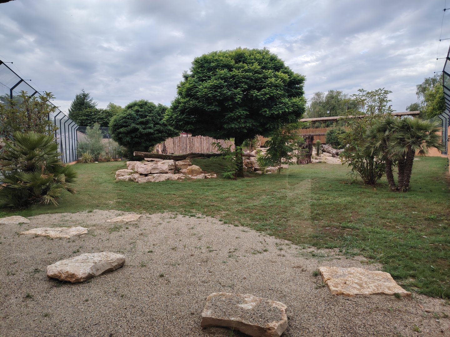 African Lions Exhibit