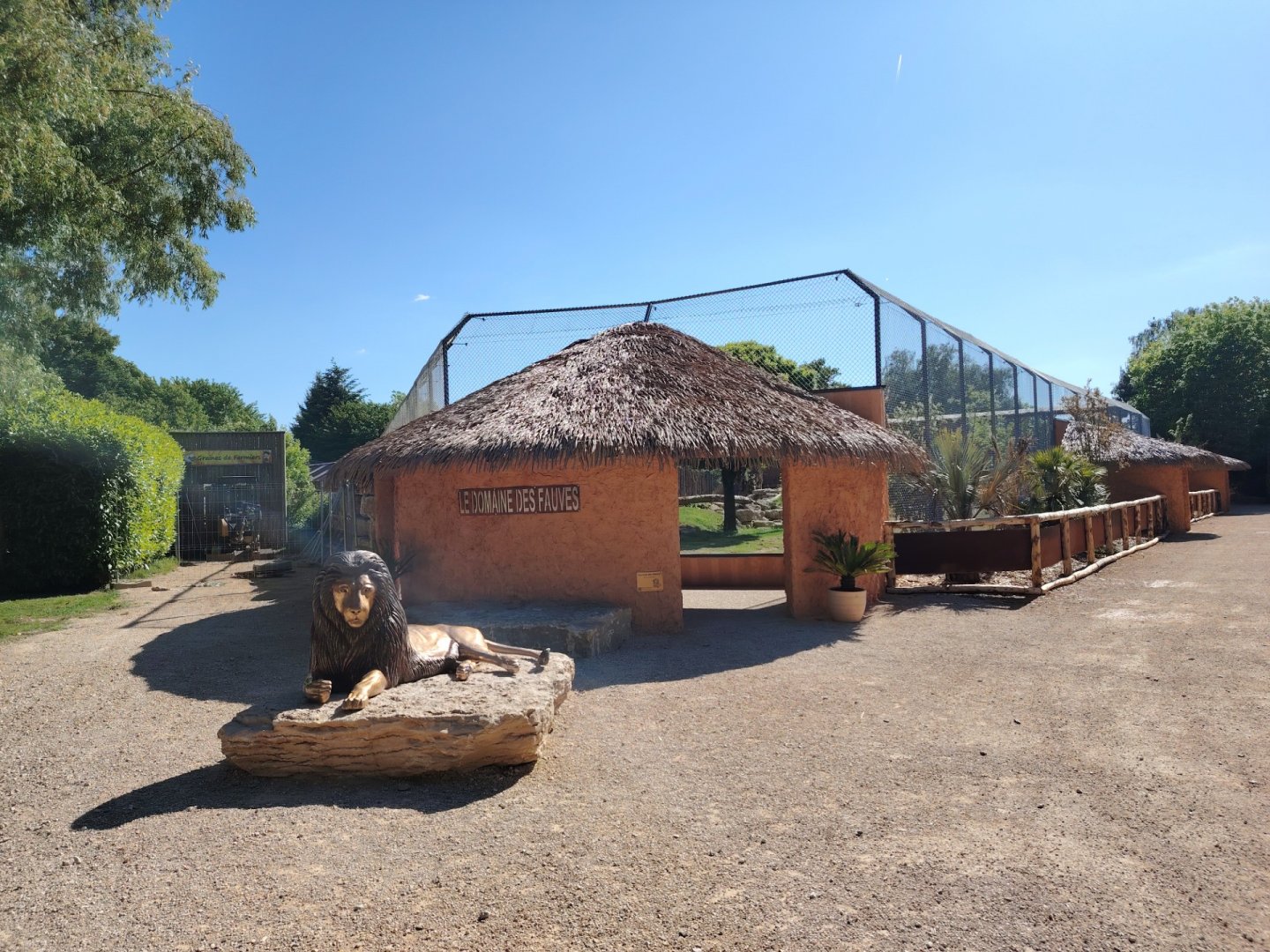 African Lions Exhibit