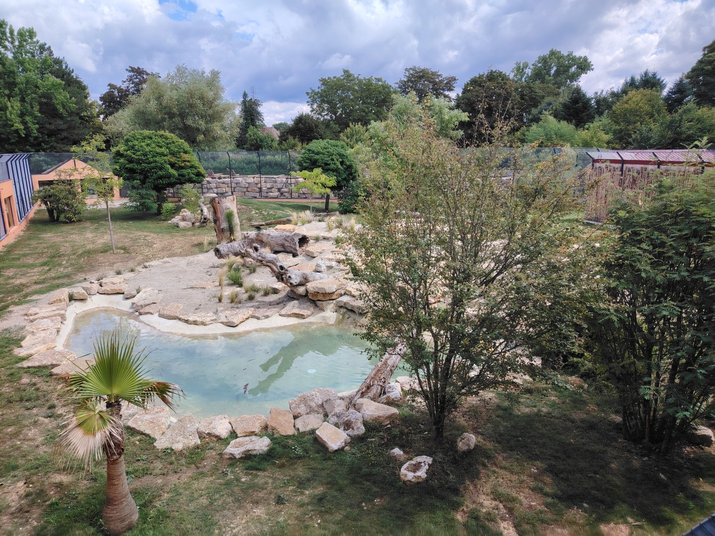 African Lions Exhibit