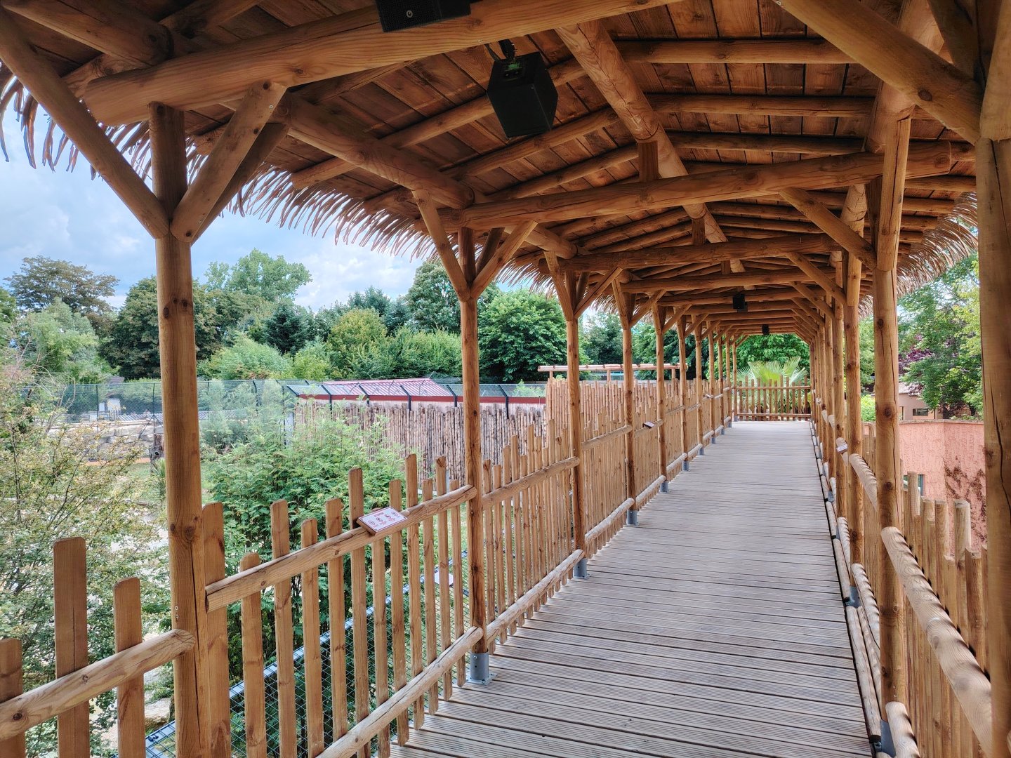 African Lions Exhibit