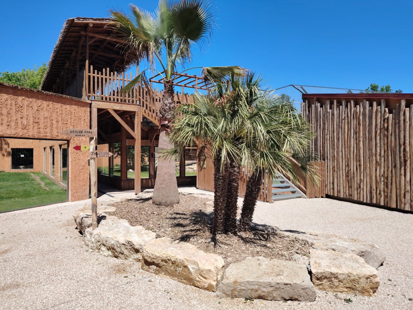 African Lions Exhibit