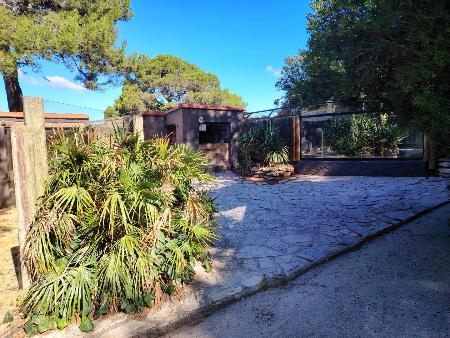 African Little Mammals Area