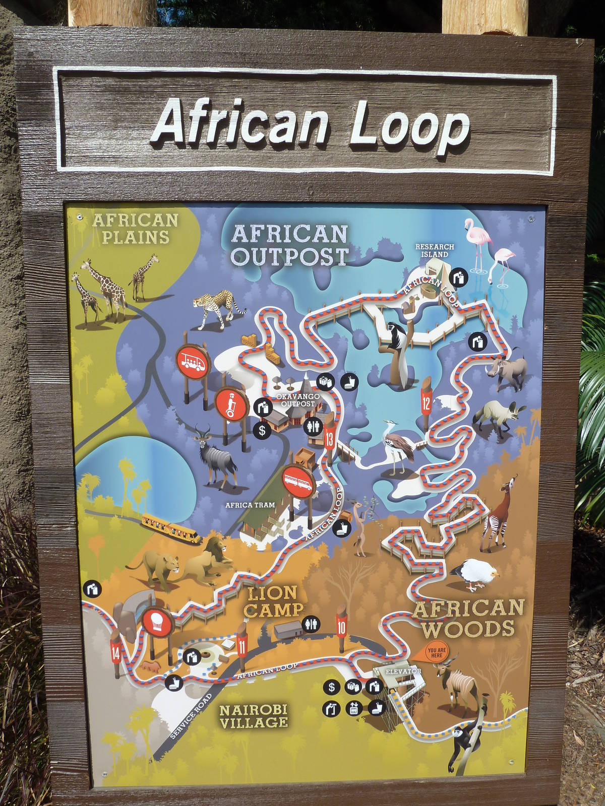 African Loop Map