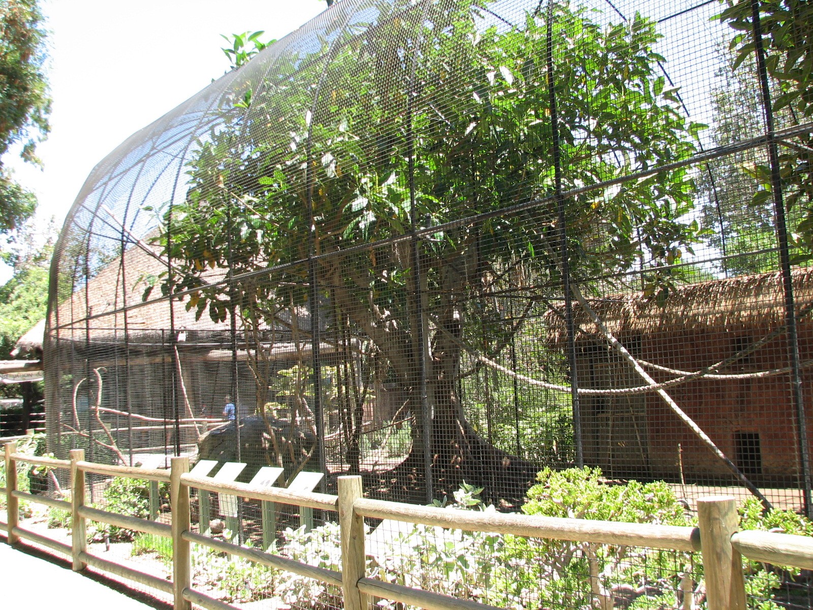 African/Madagascan Exhibit