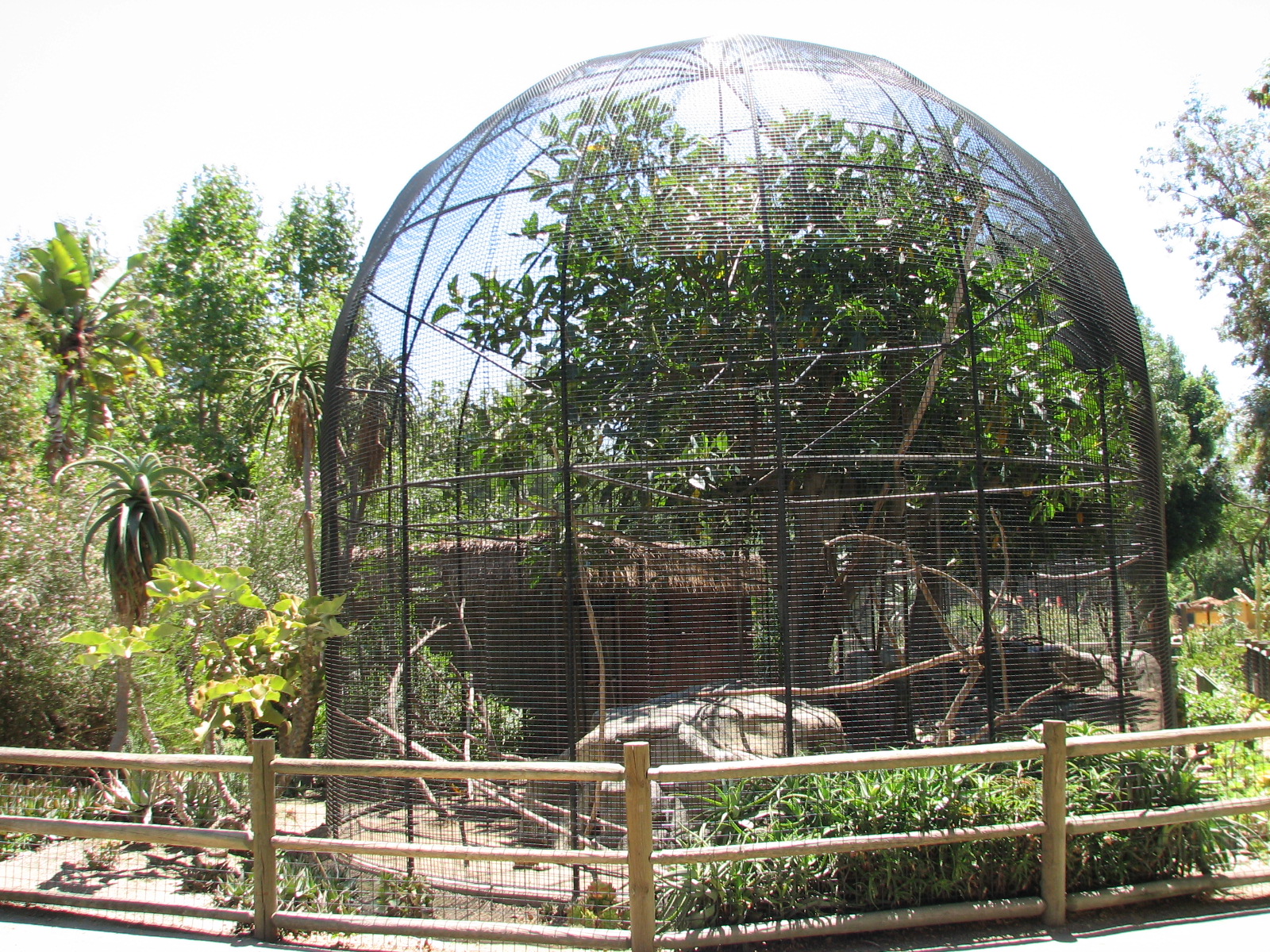 African/Madagascan Exhibit