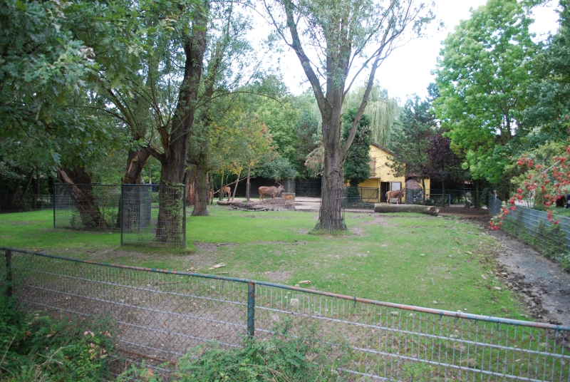 African mammal enclosure