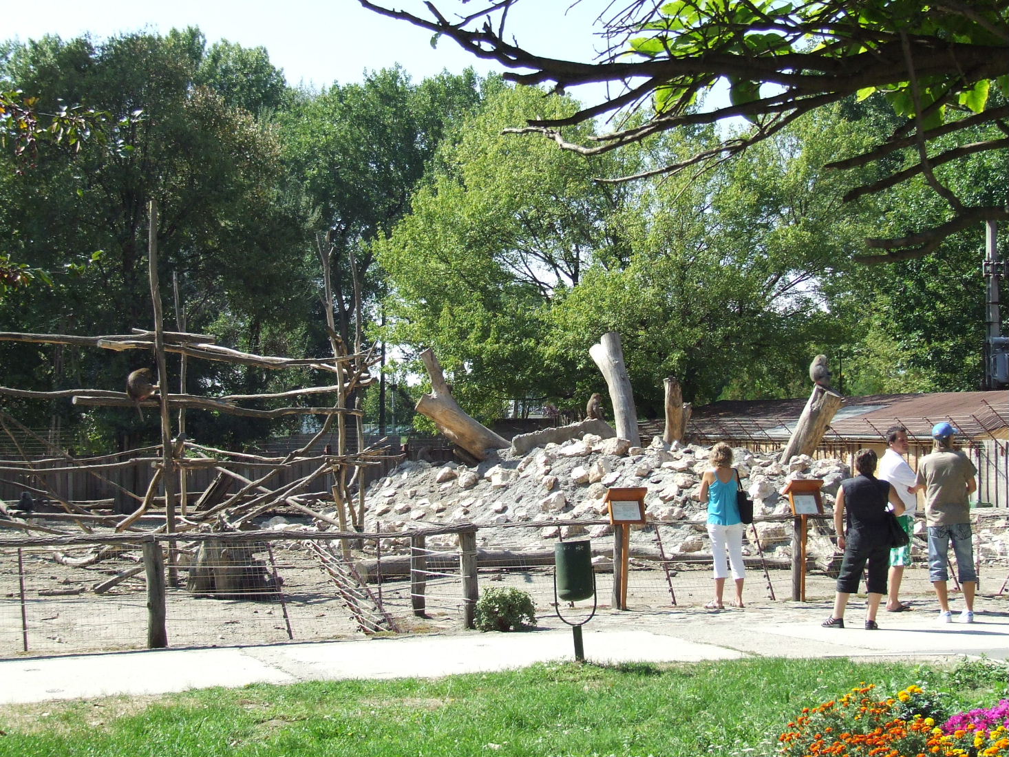 African mixed-species exhibit @ Györ Zoo, Hungary