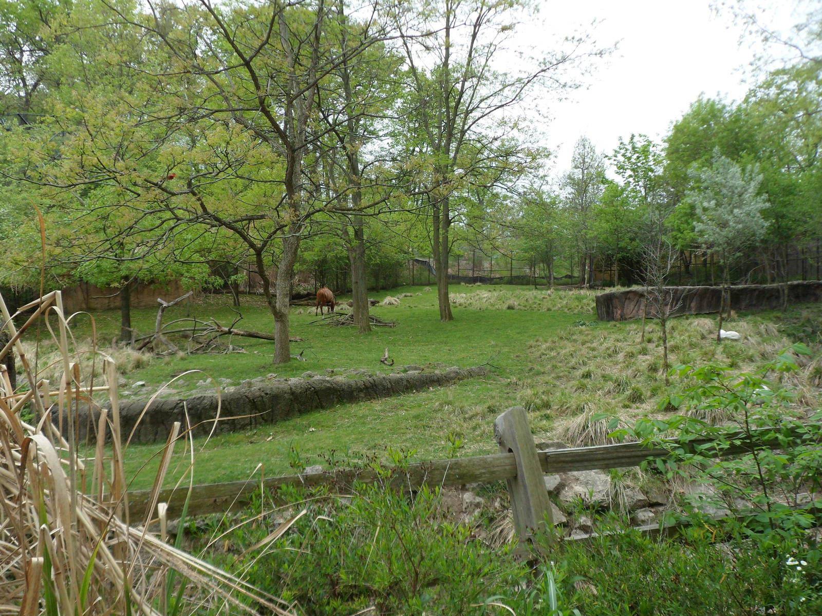 African Mixed Species Exhibit View #2