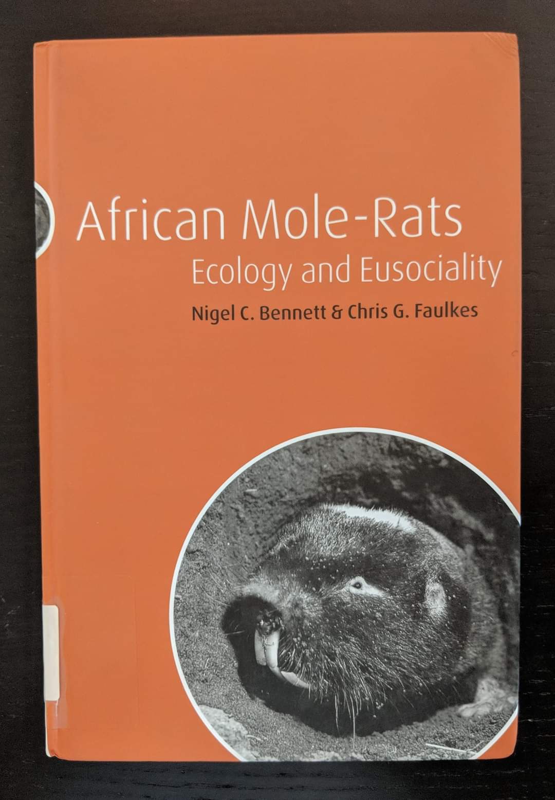 African Mole-Rats: Ecology and Eusociality