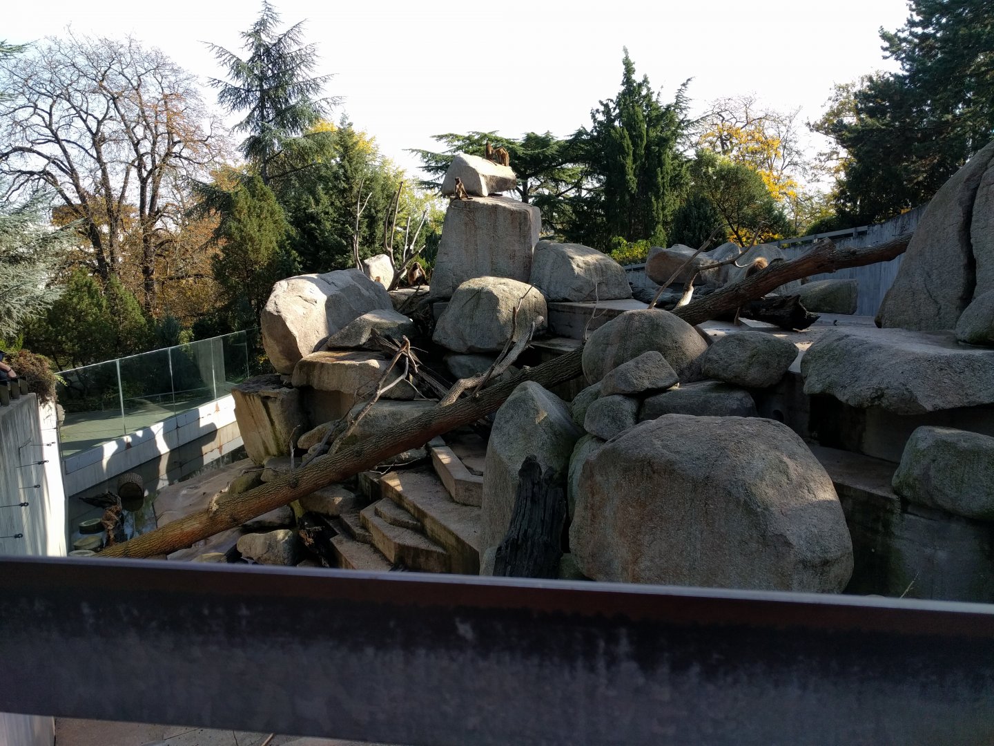 African mountain Enclosure