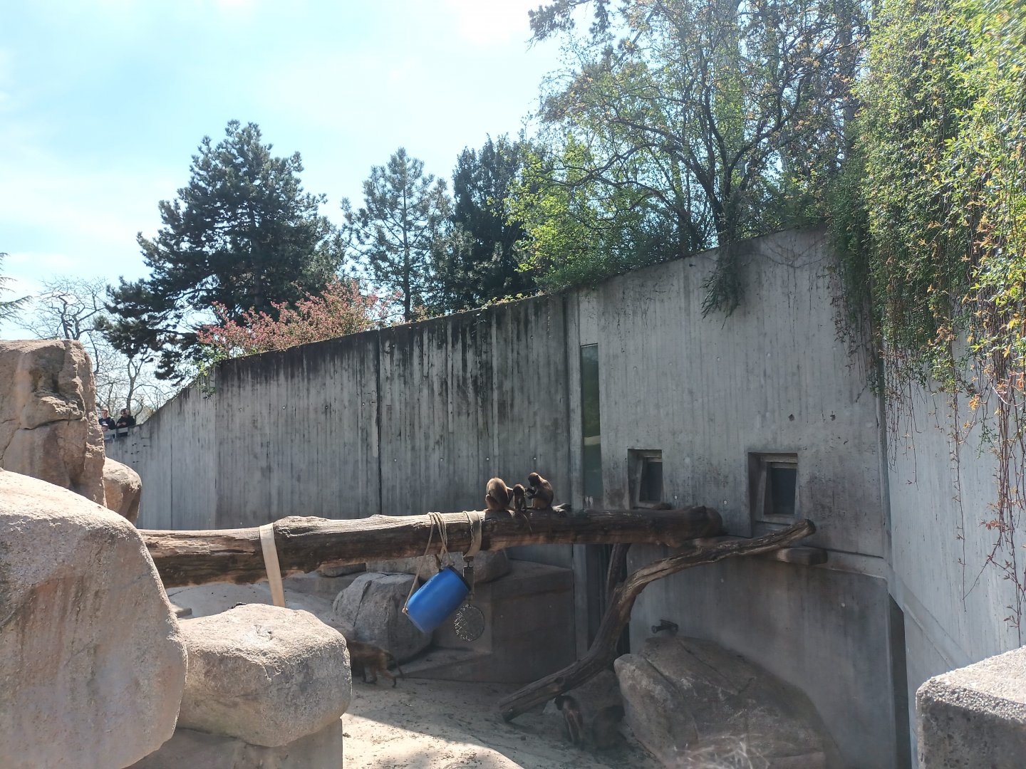 African Mountains Enclosure