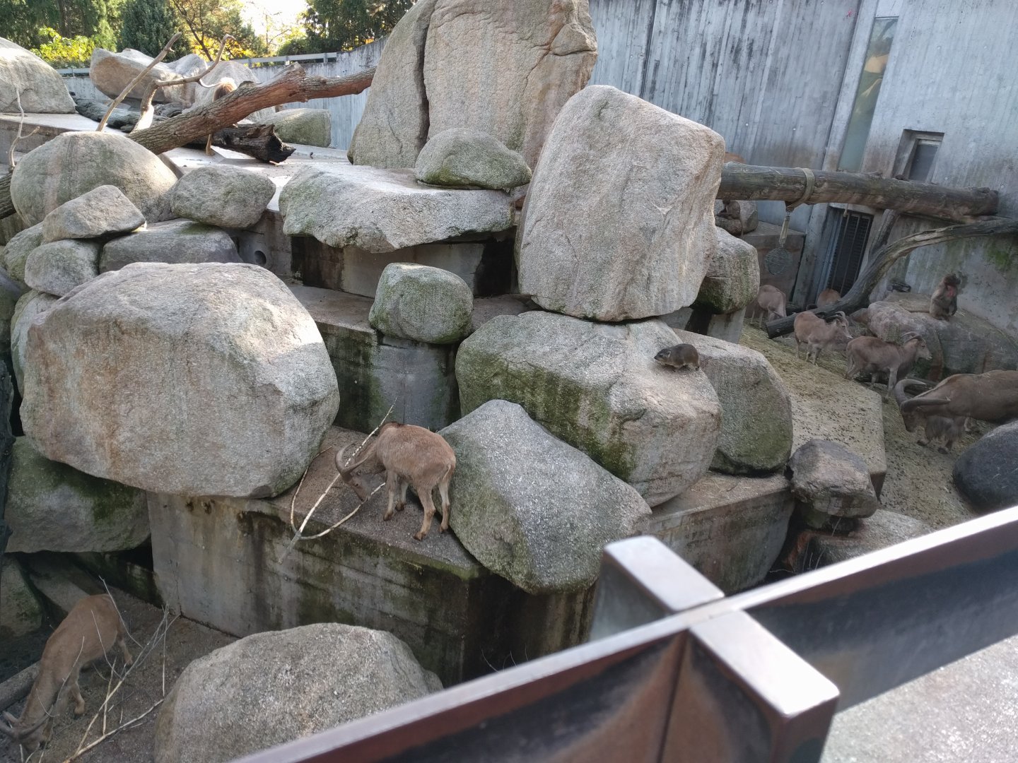 African mountains Overview