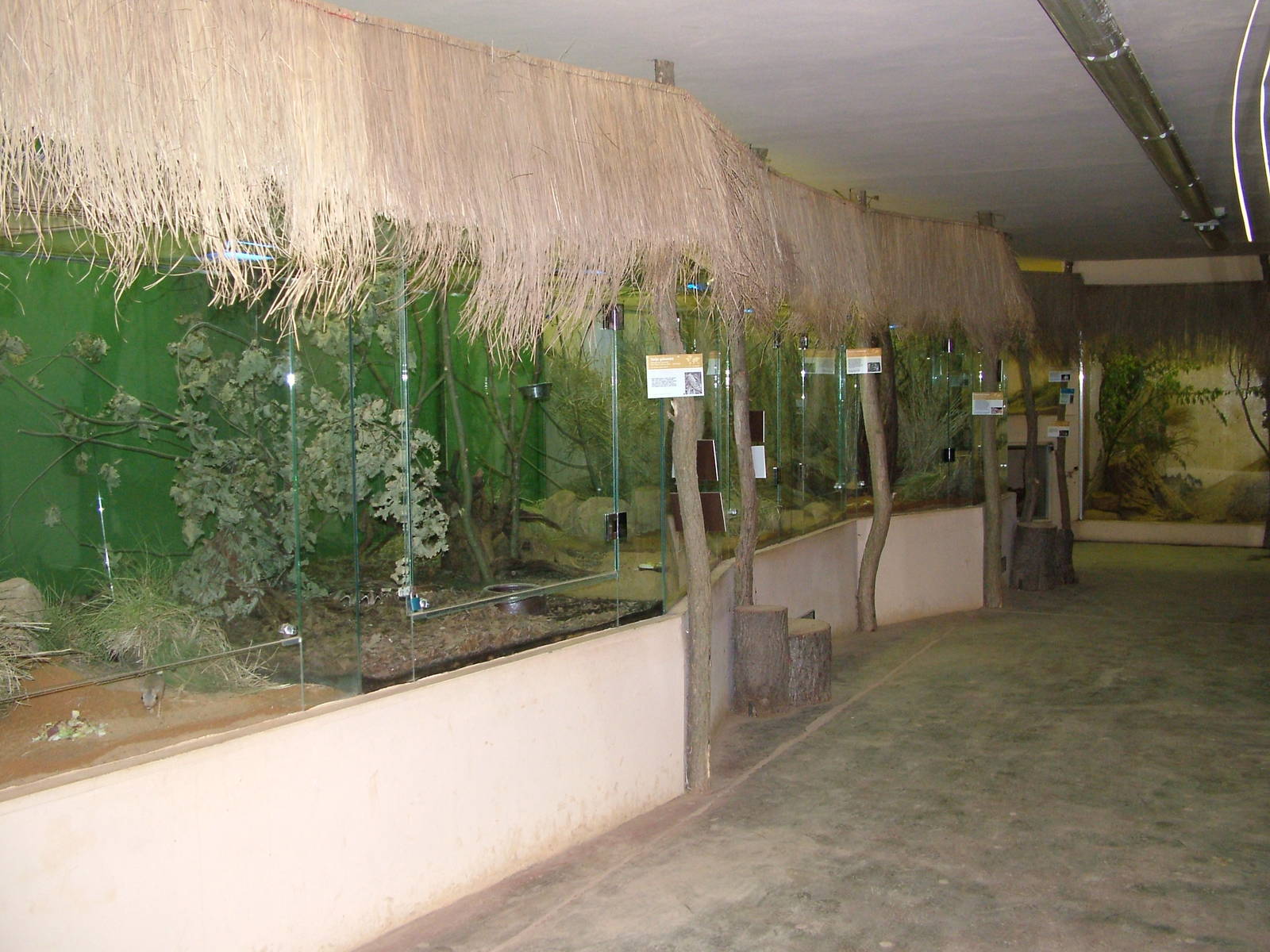 African Nocturnal House interior at Plzen, 25/05/10