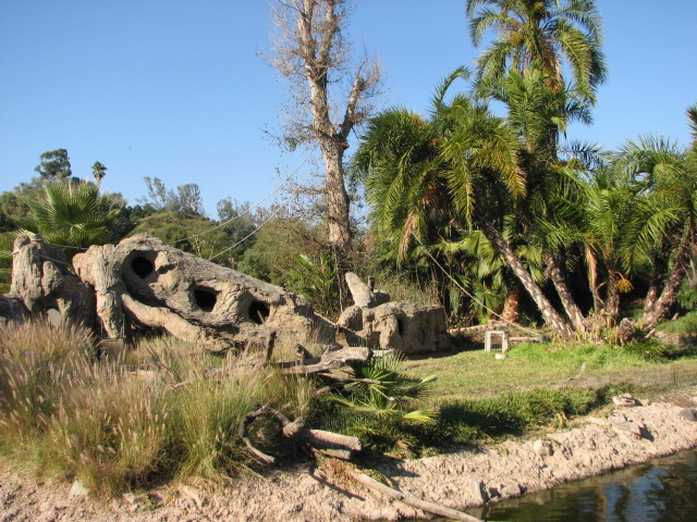 African Outpost - Colobus Monkey Exhibit