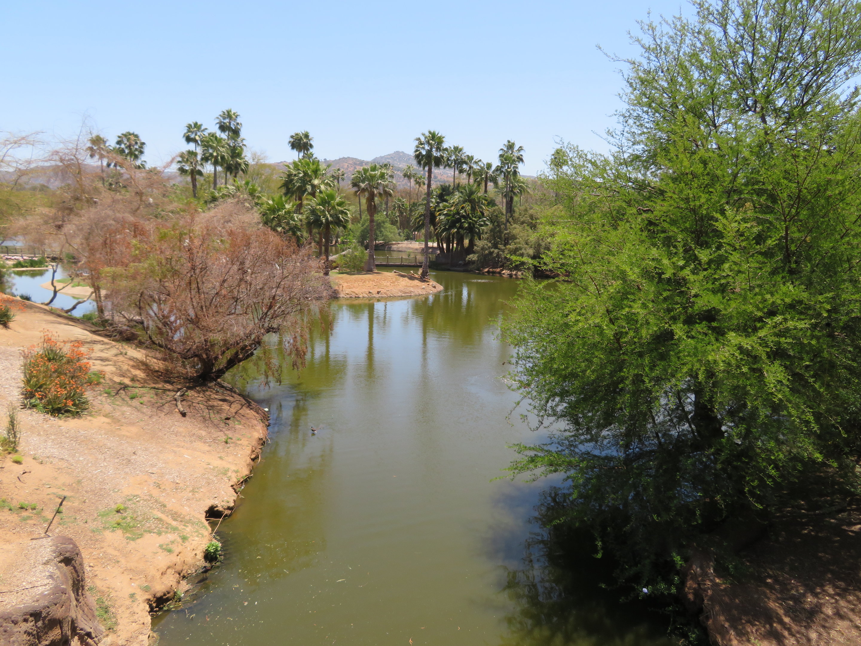 African Outpost Lake