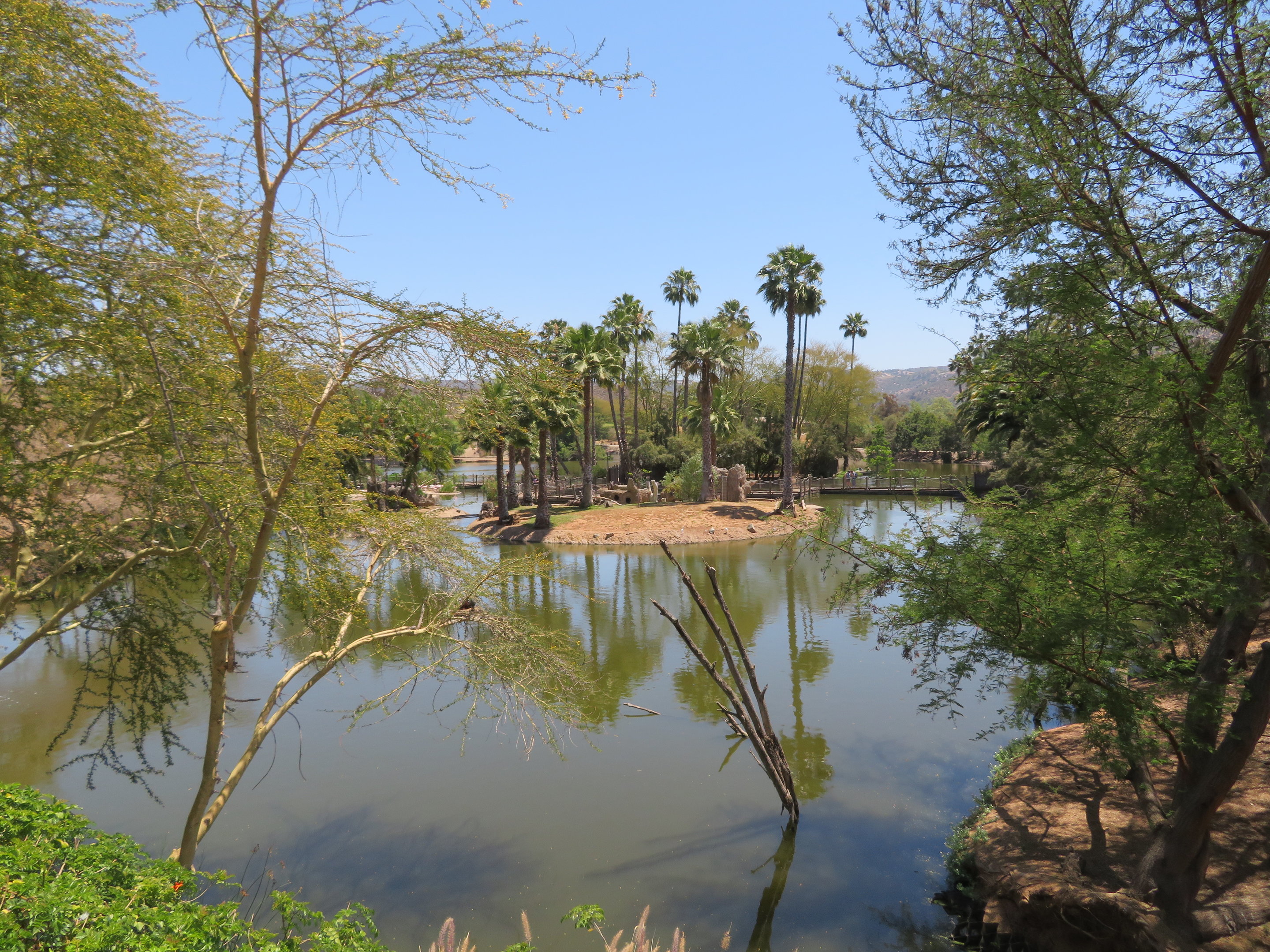 African Outpost Lake