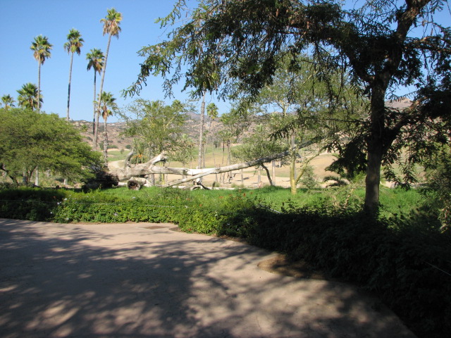 African Outpost - South African Cheetah Exhibit