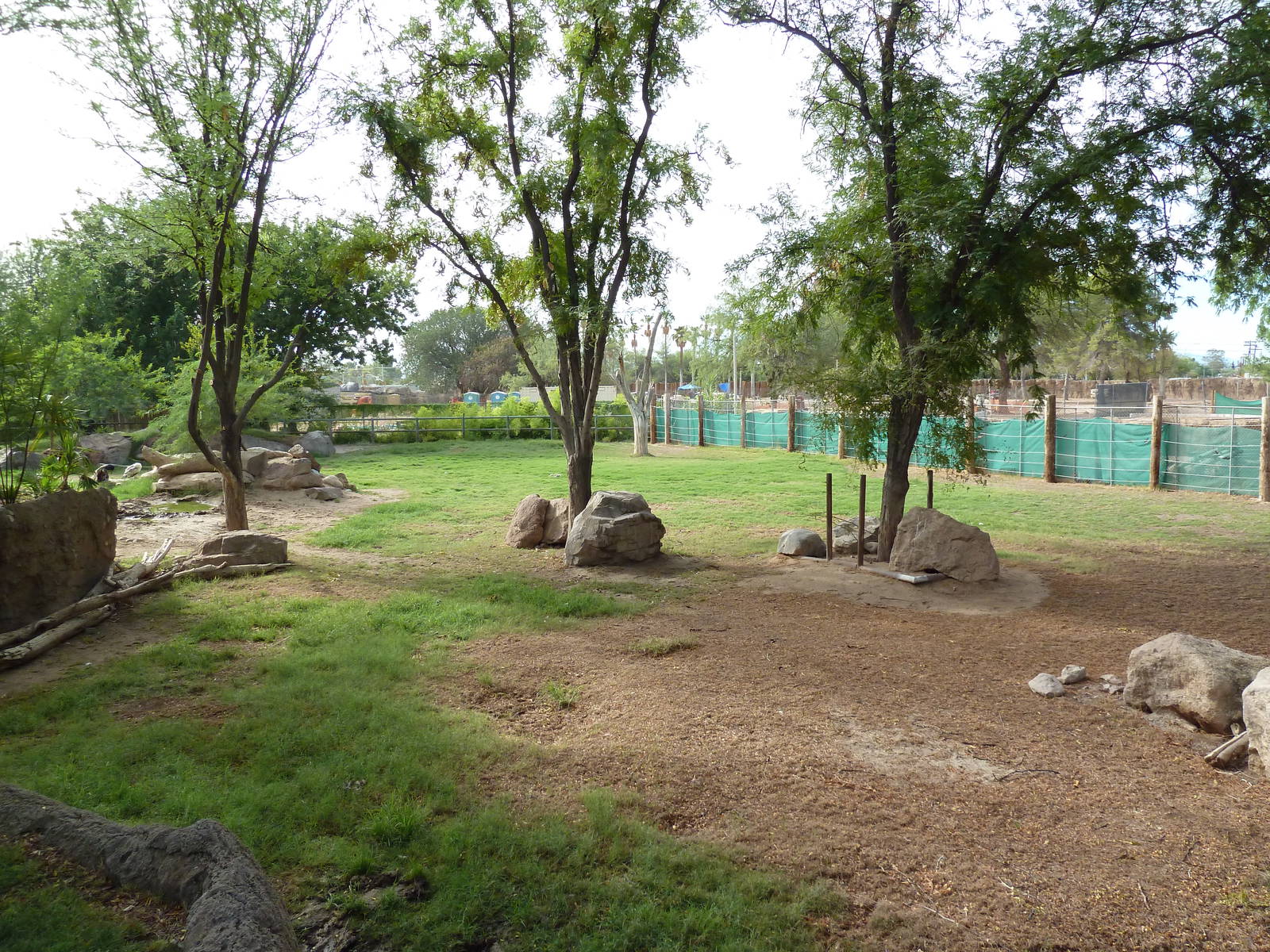 African Paddock (4 Species)