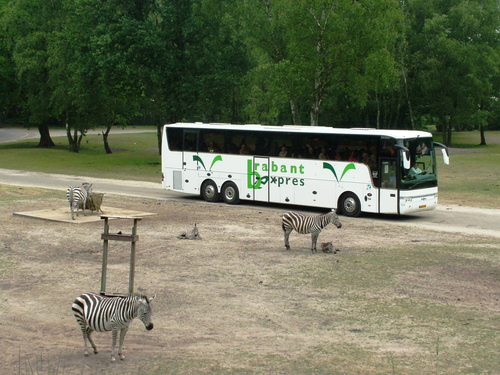 African Paddock at Beekse Bergen, 31/05/12