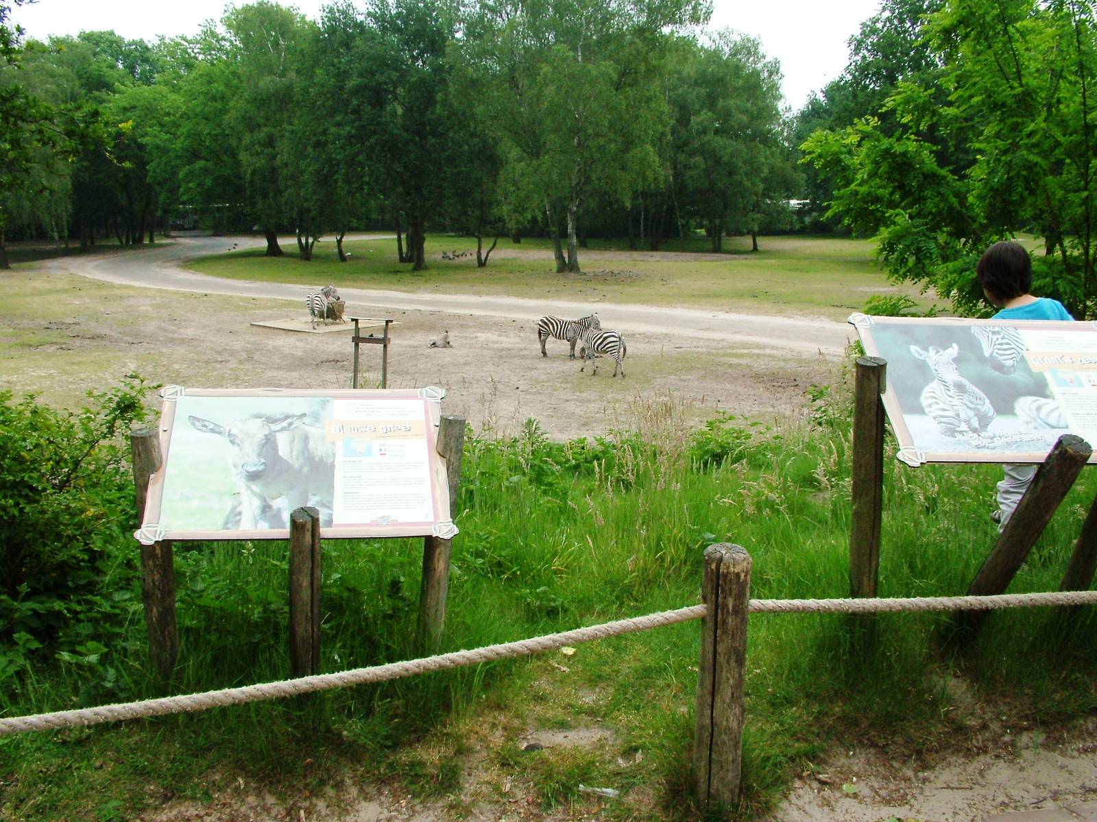 African Paddock at Beekse Bergen, 31/05/12