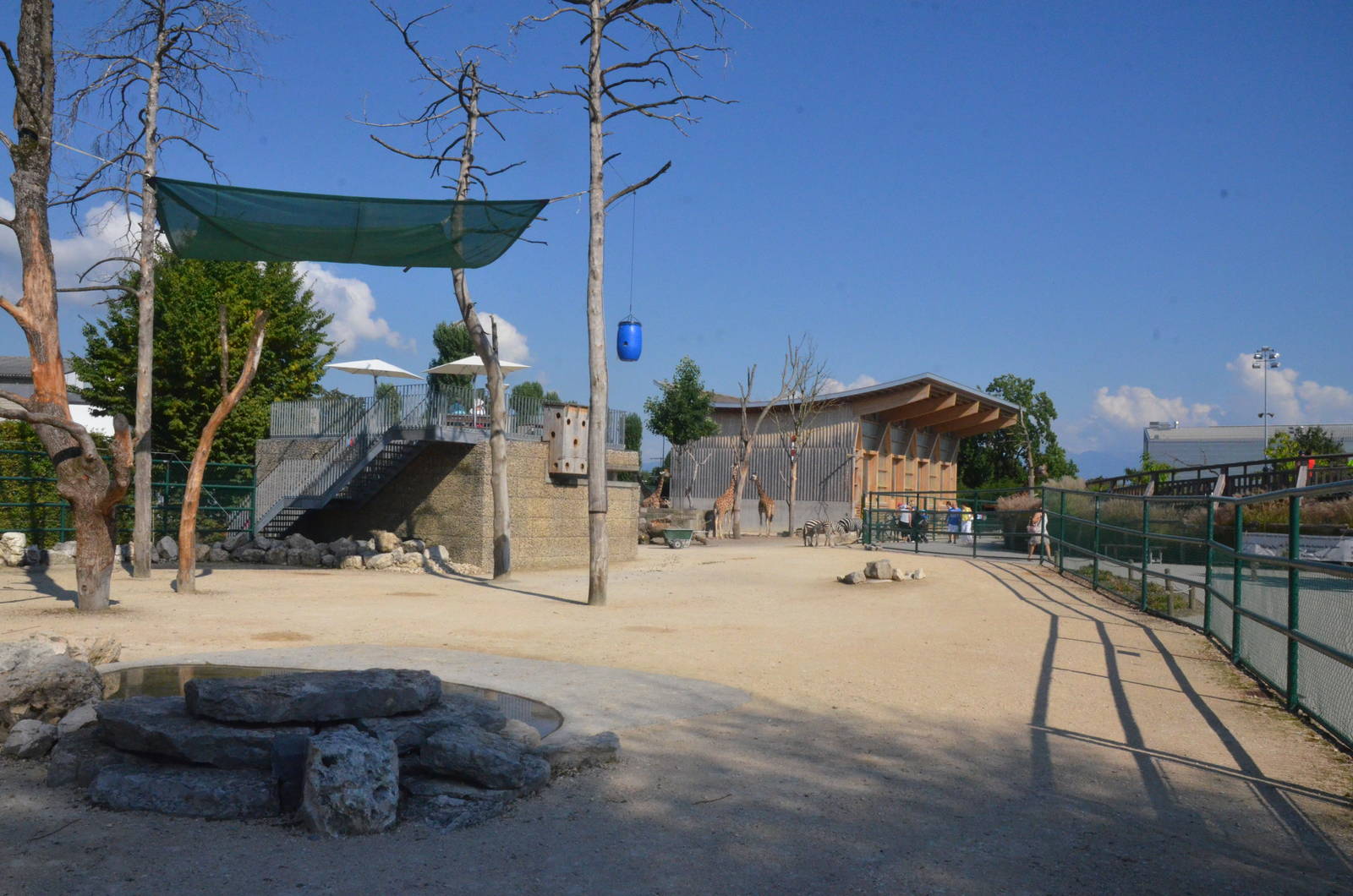 African Paddock at Knie Kinderzoo, 11/09/16