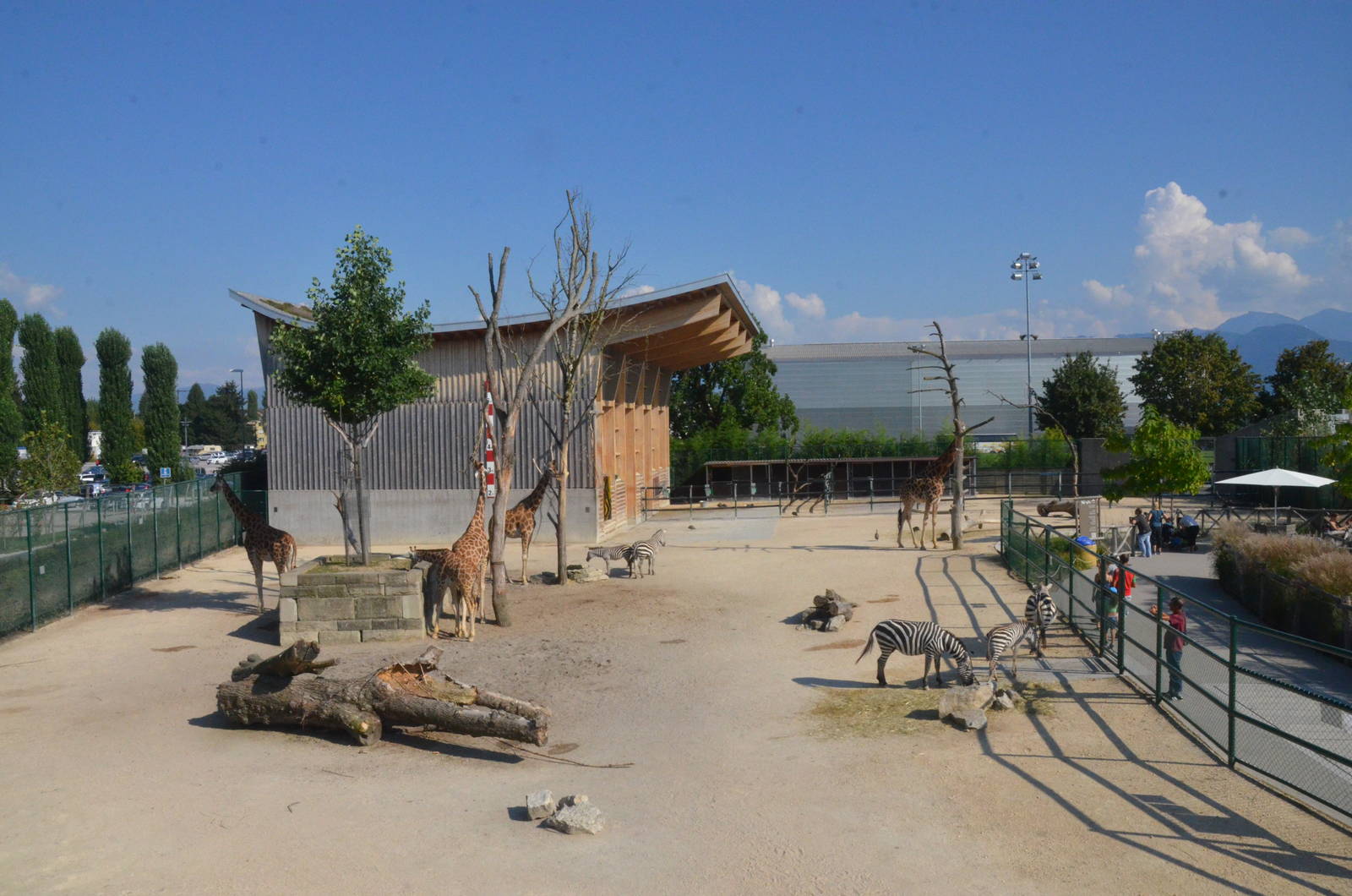 African Paddock at Knie Kinderzoo, 11/09/16