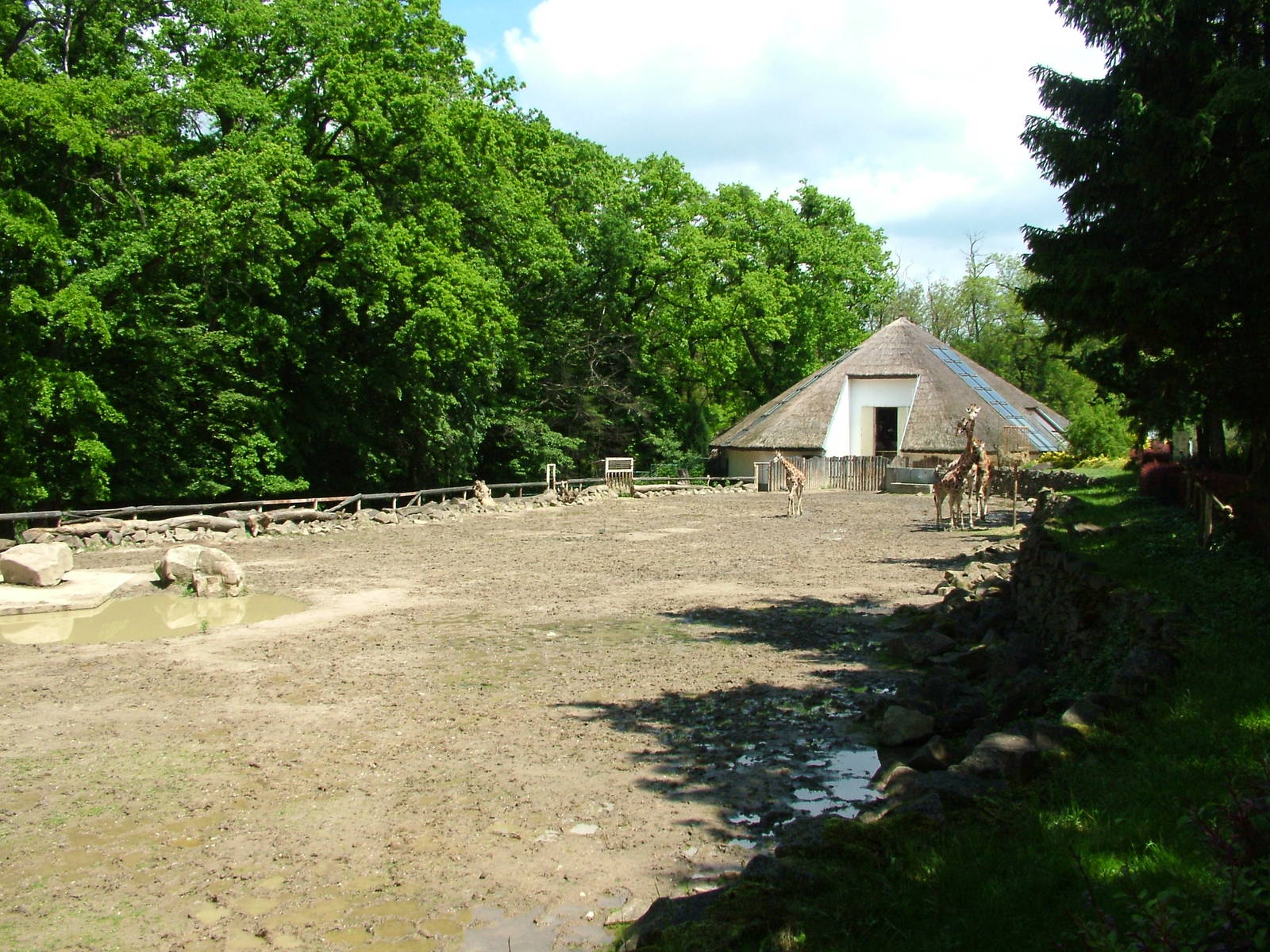 African Paddock at Zlin, 28/05/10