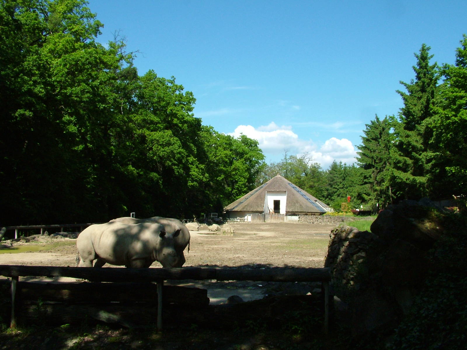 African paddock at Zlin, 28/05/10