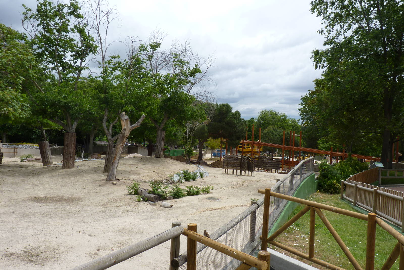 African Paddock, June 2013