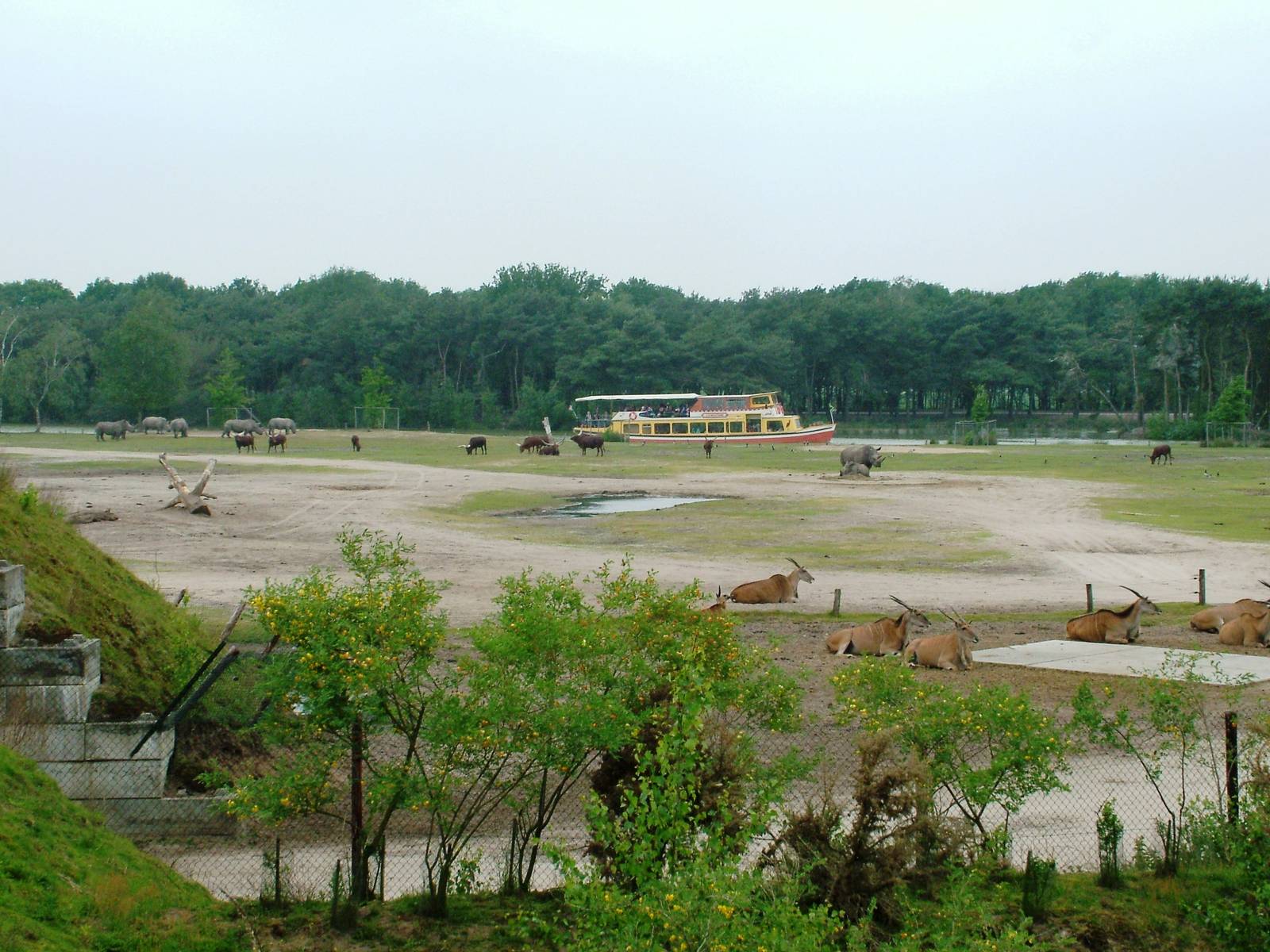 African Paddock View at Beekse Bergen, 31/05/12