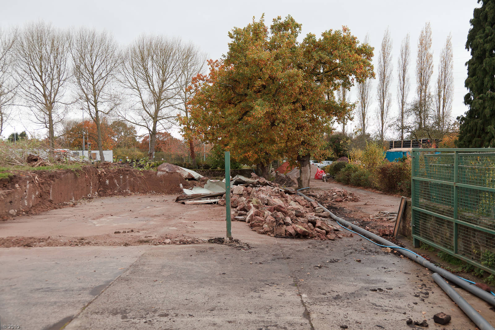 African Painted Dog Construction - 04/11/2010