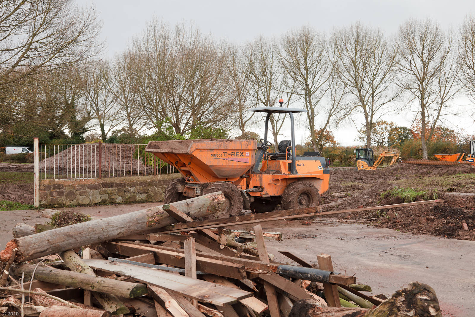 African Painted Dog Construction - 04/11/2010