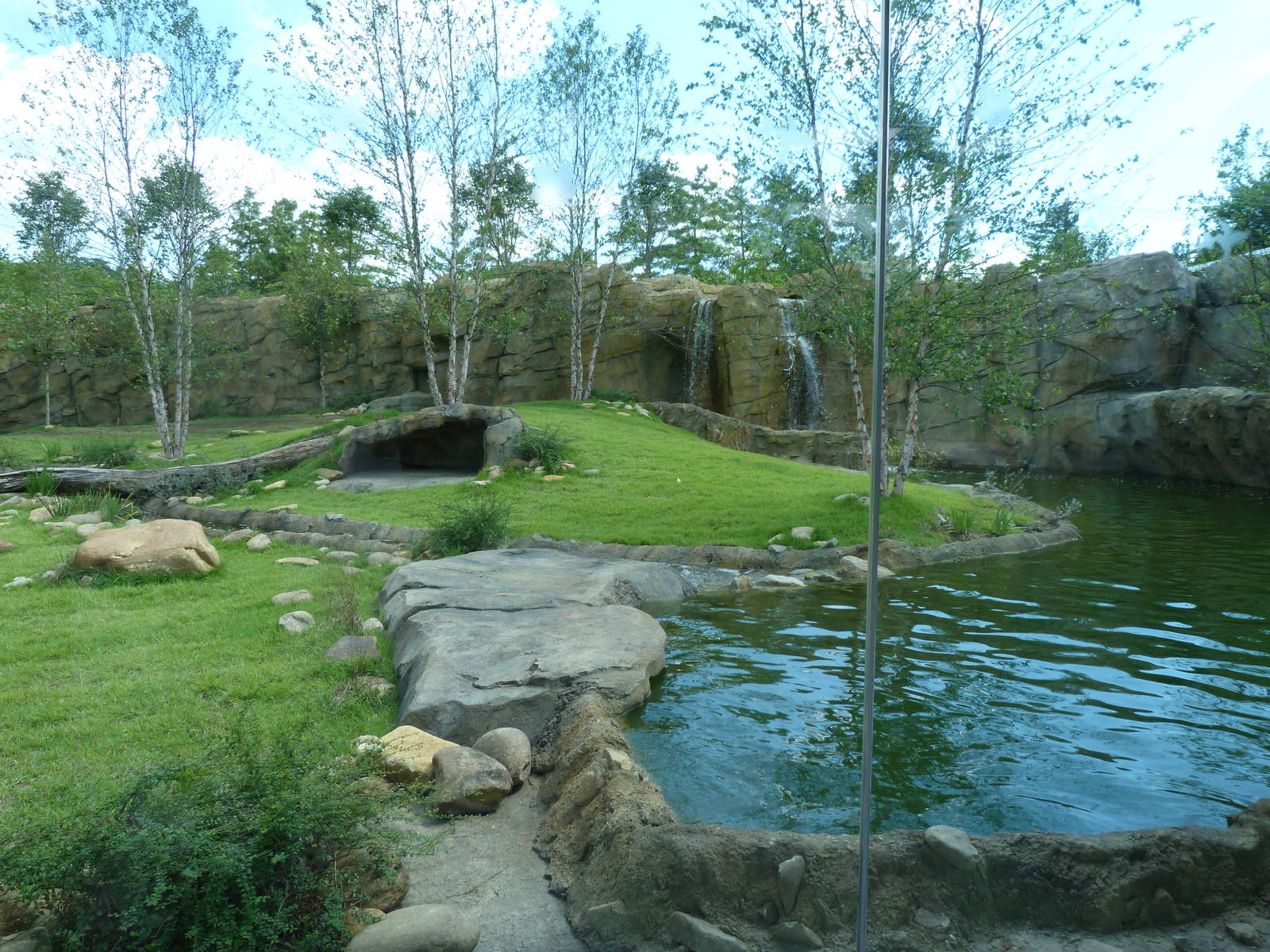 African Painted Dog Exhibit - Sept. 2014