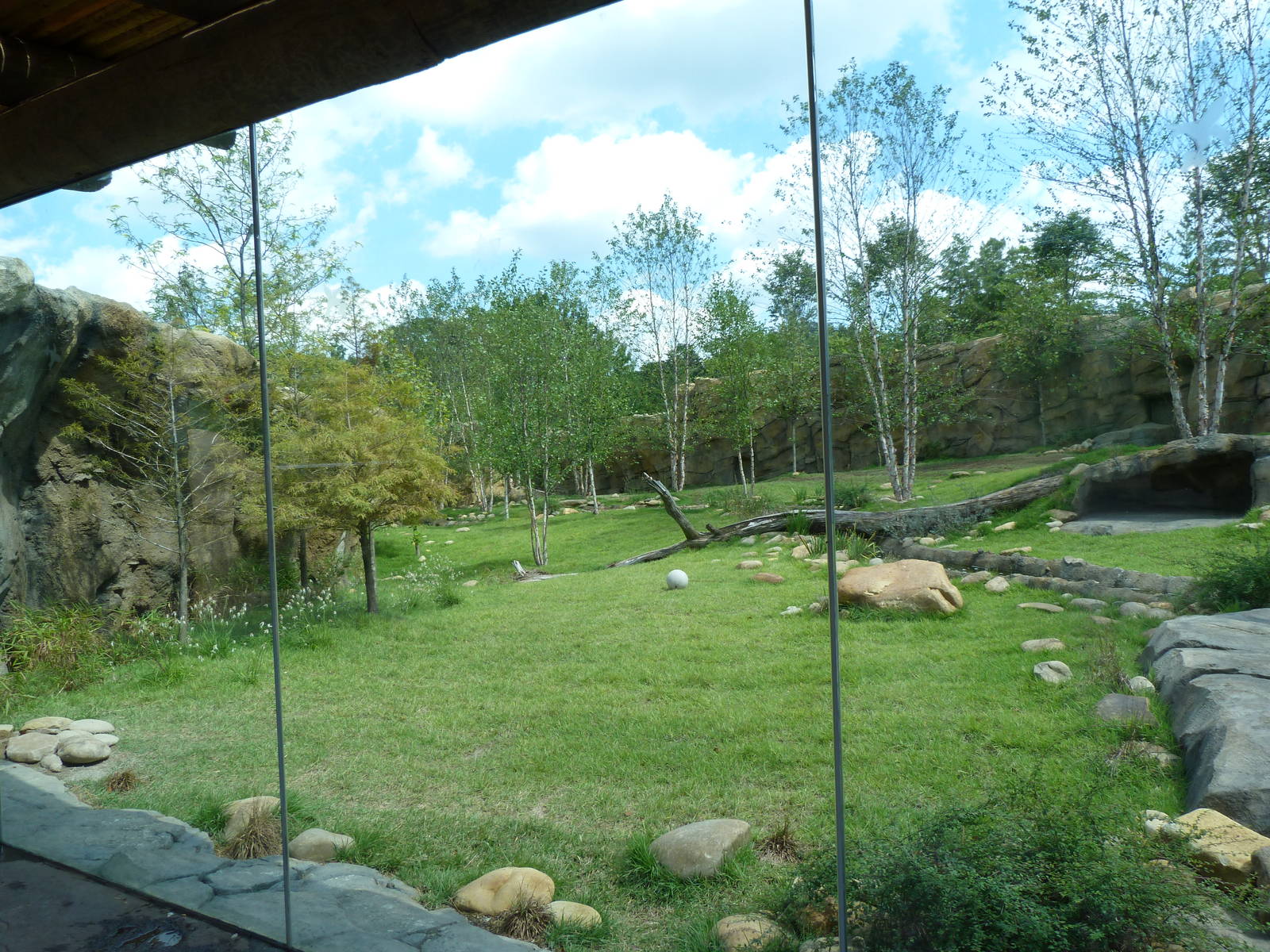 African Painted Dog Exhibit - Sept. 2014