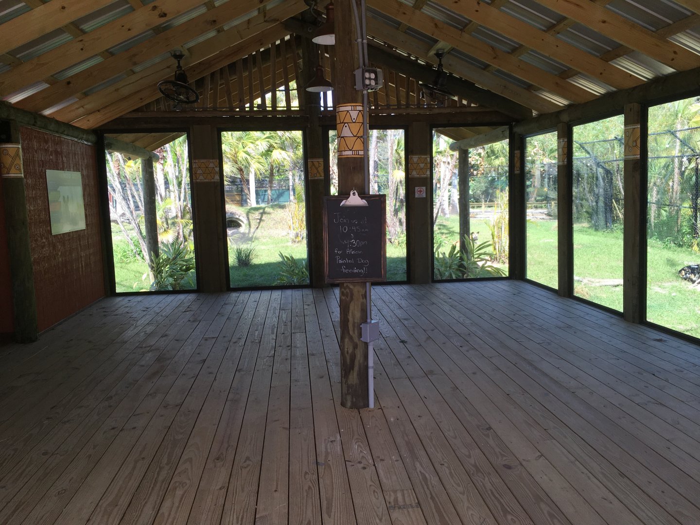 African Painted Dog Exhibit Viewing
