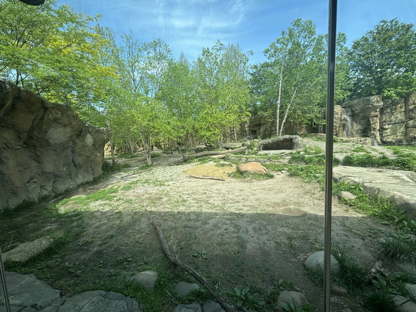 African Painted Dog Valley Exhibit/Viewing