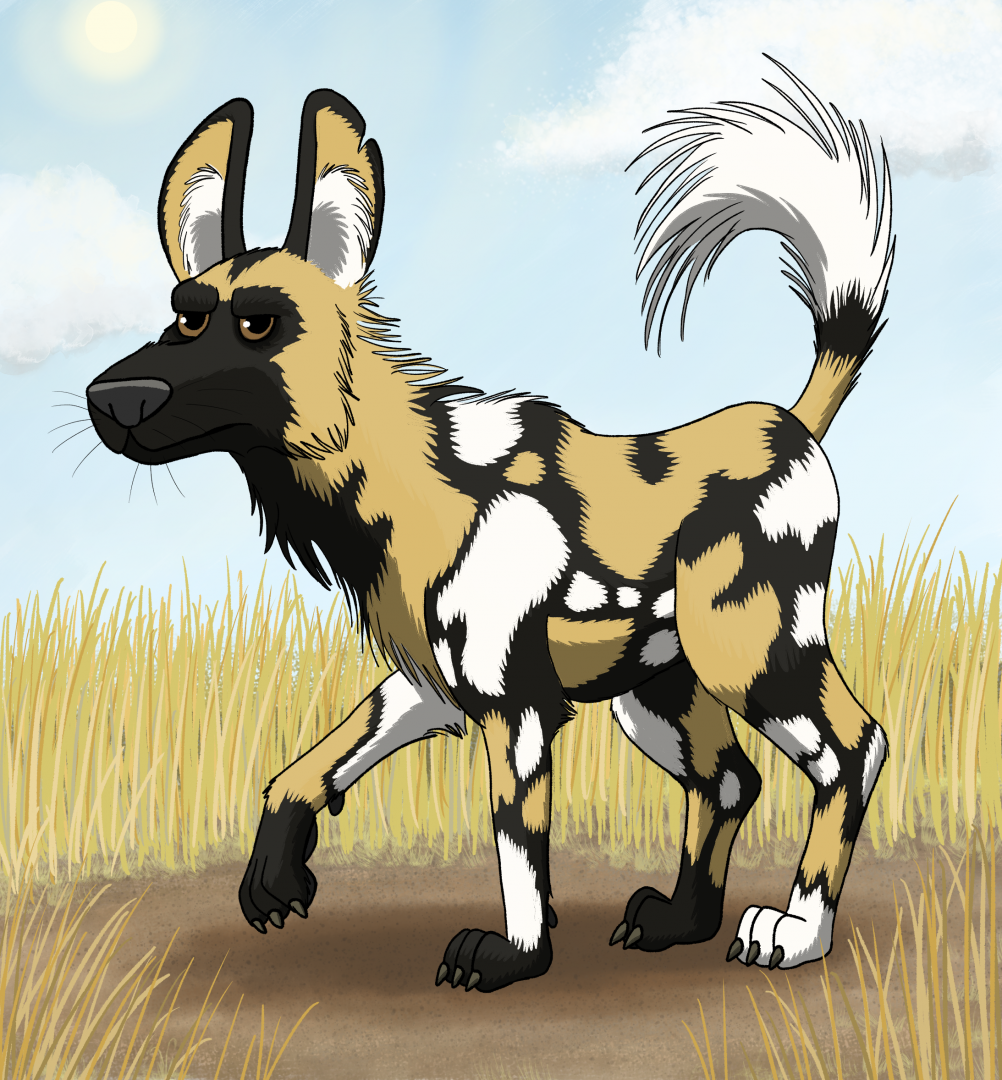 African Painted Dog