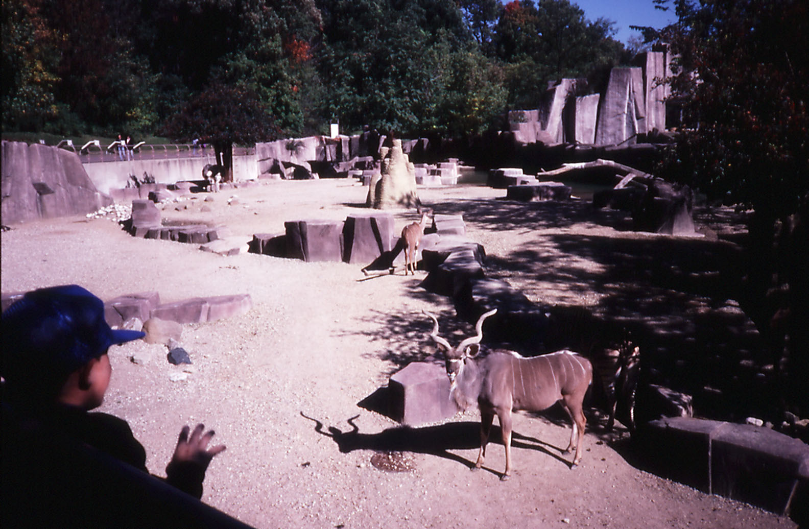 African Panorama - 1987