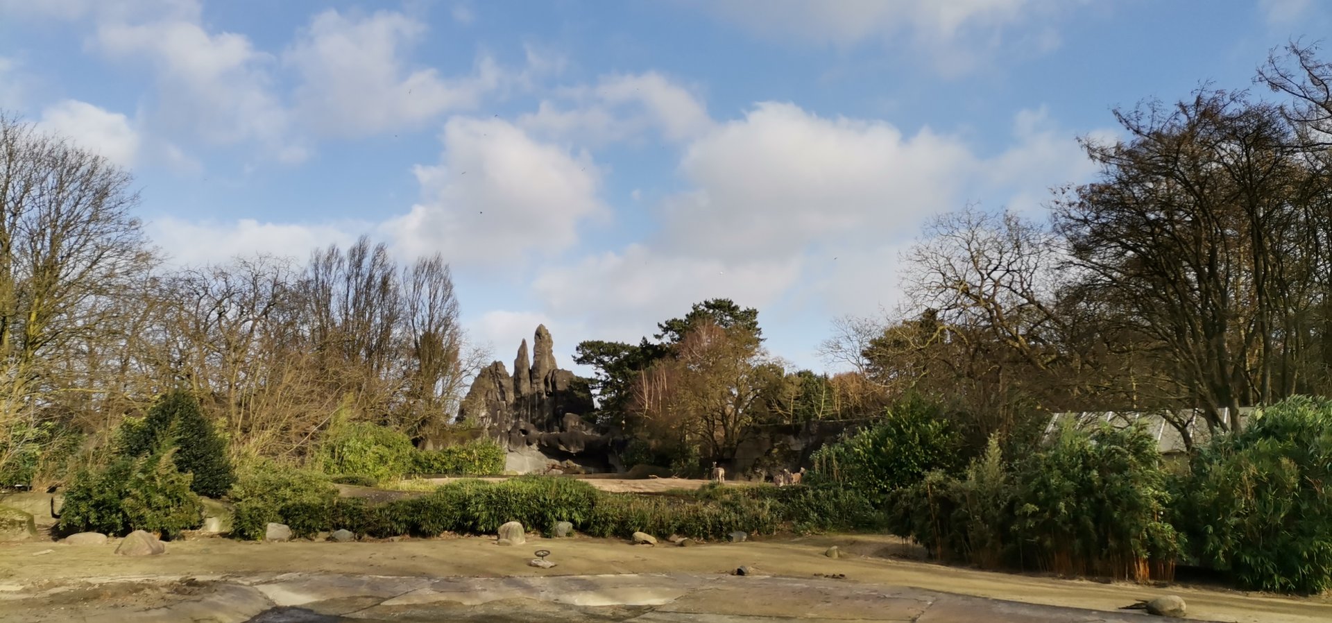 African panorama 1st level and the whole view, Flamingos and Waterfowl