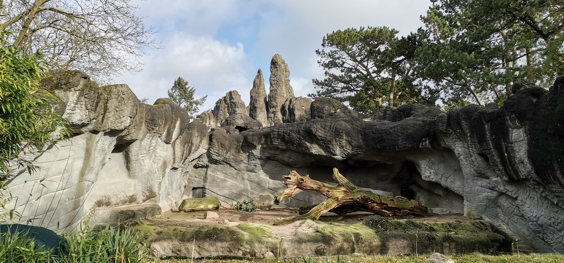 African panorama 3rd level , Lion exhibit