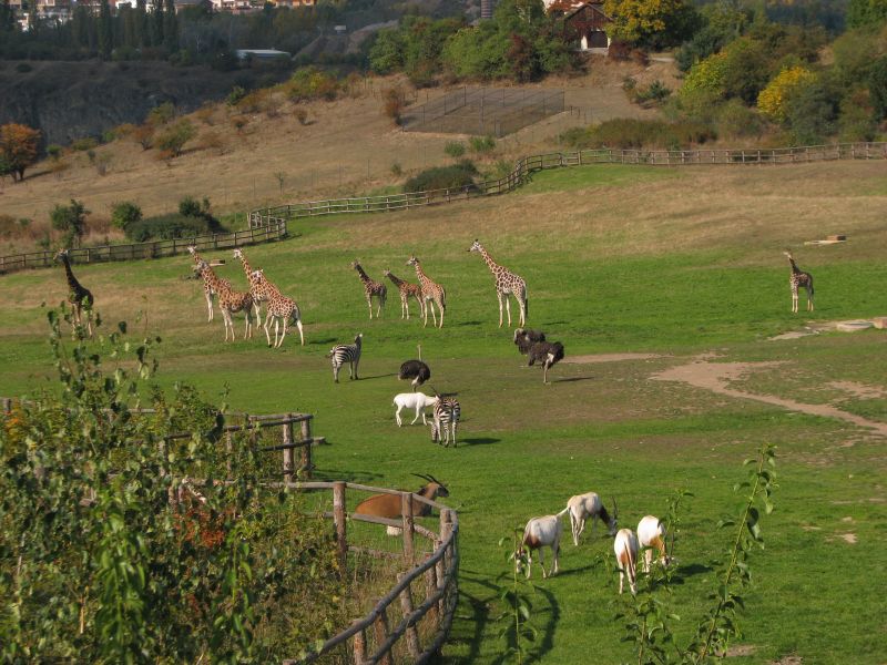 African panorama at Prague zoo