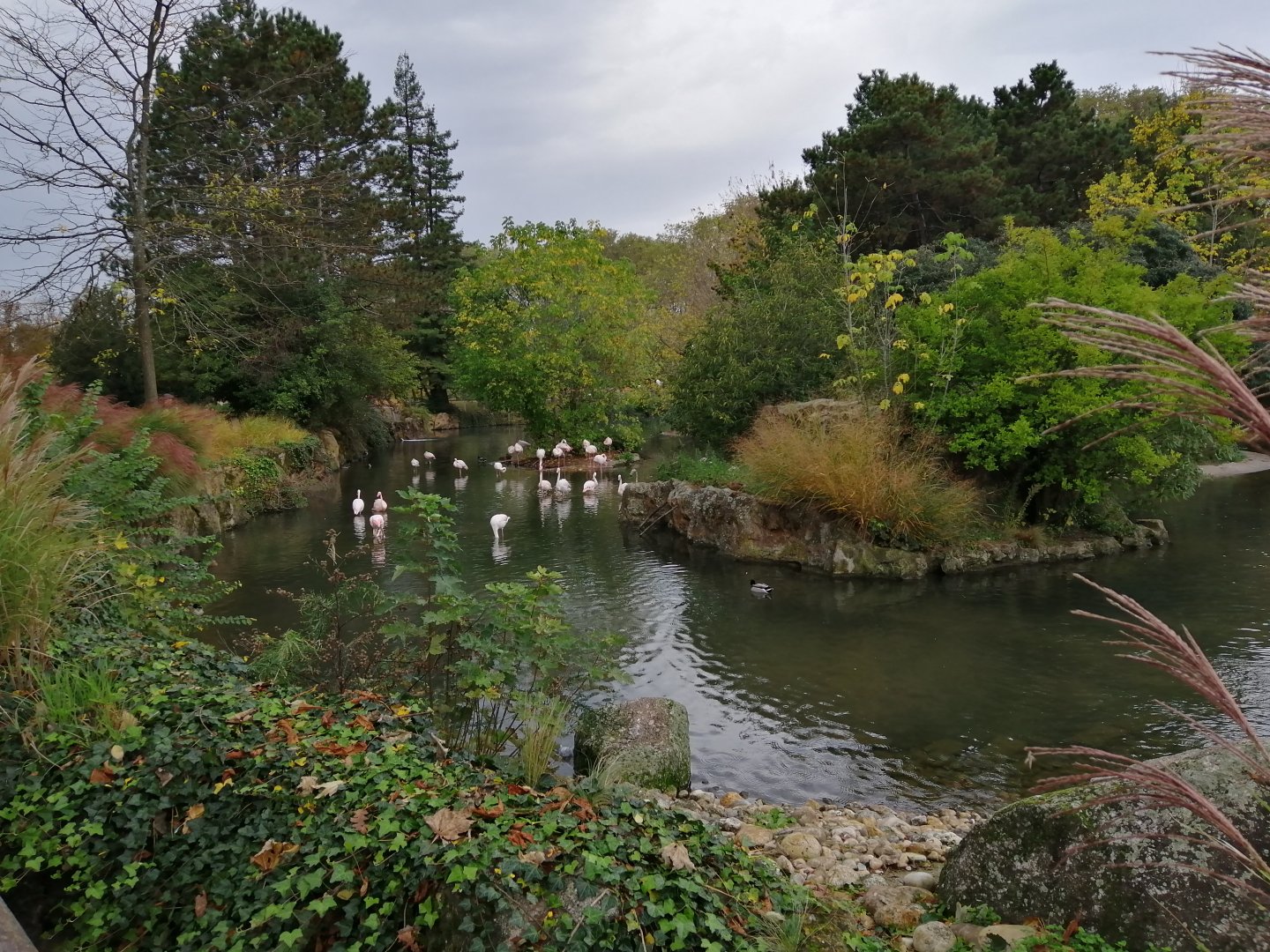 African Panorama - Birds Pond