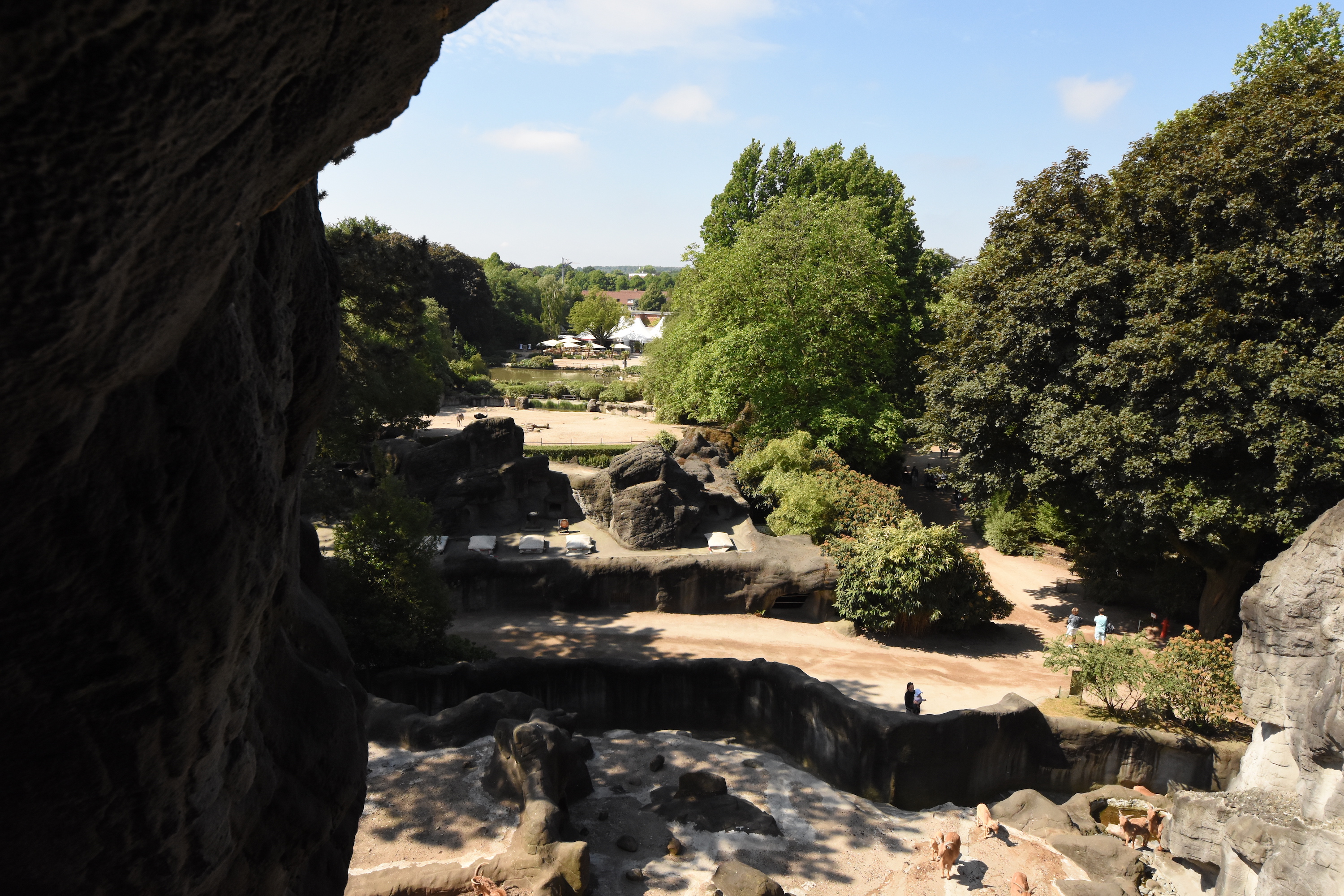 African panorama seen from the back