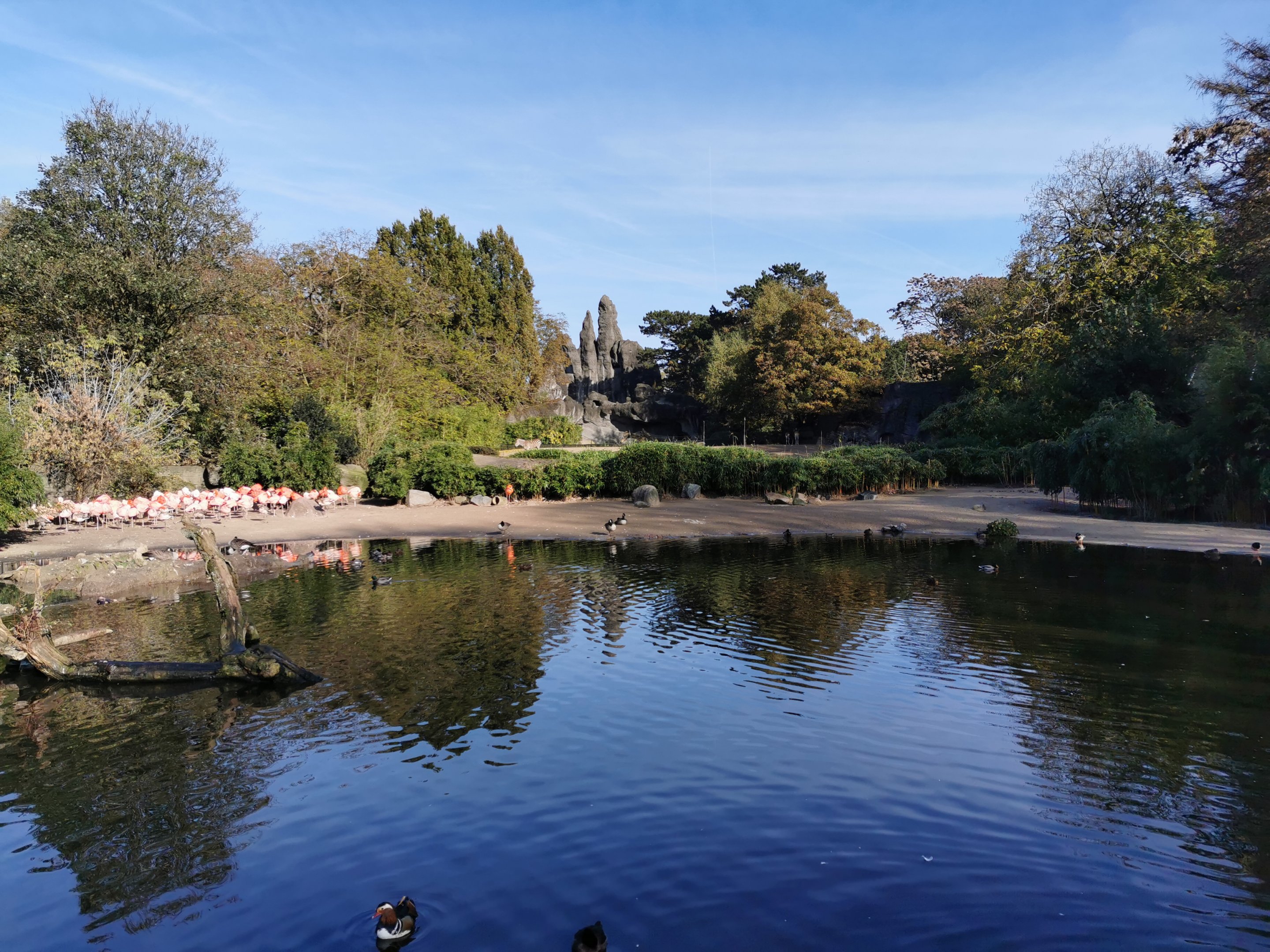 African panorama - Tierpark Hagenbeck