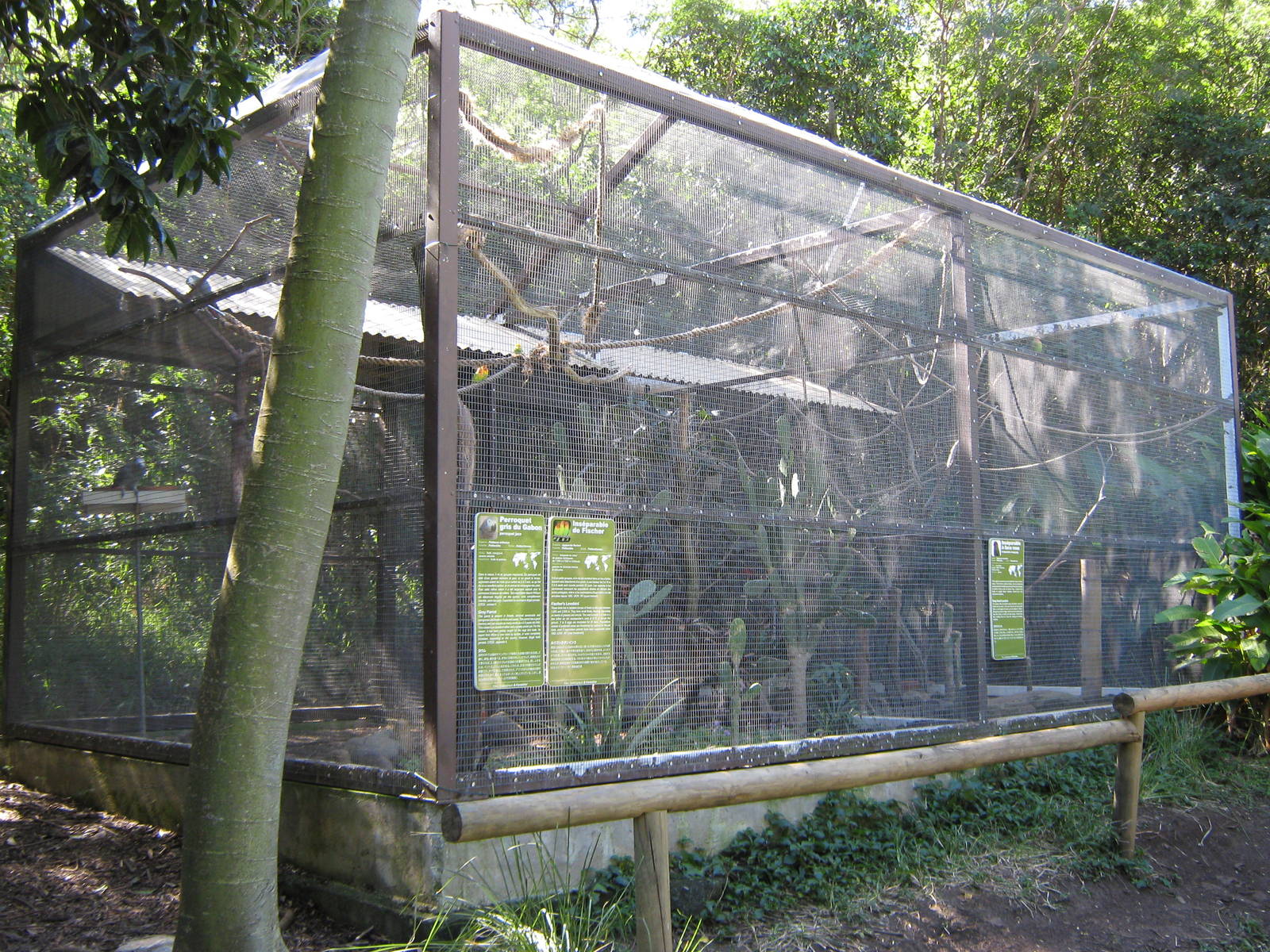 African parrot aviaries