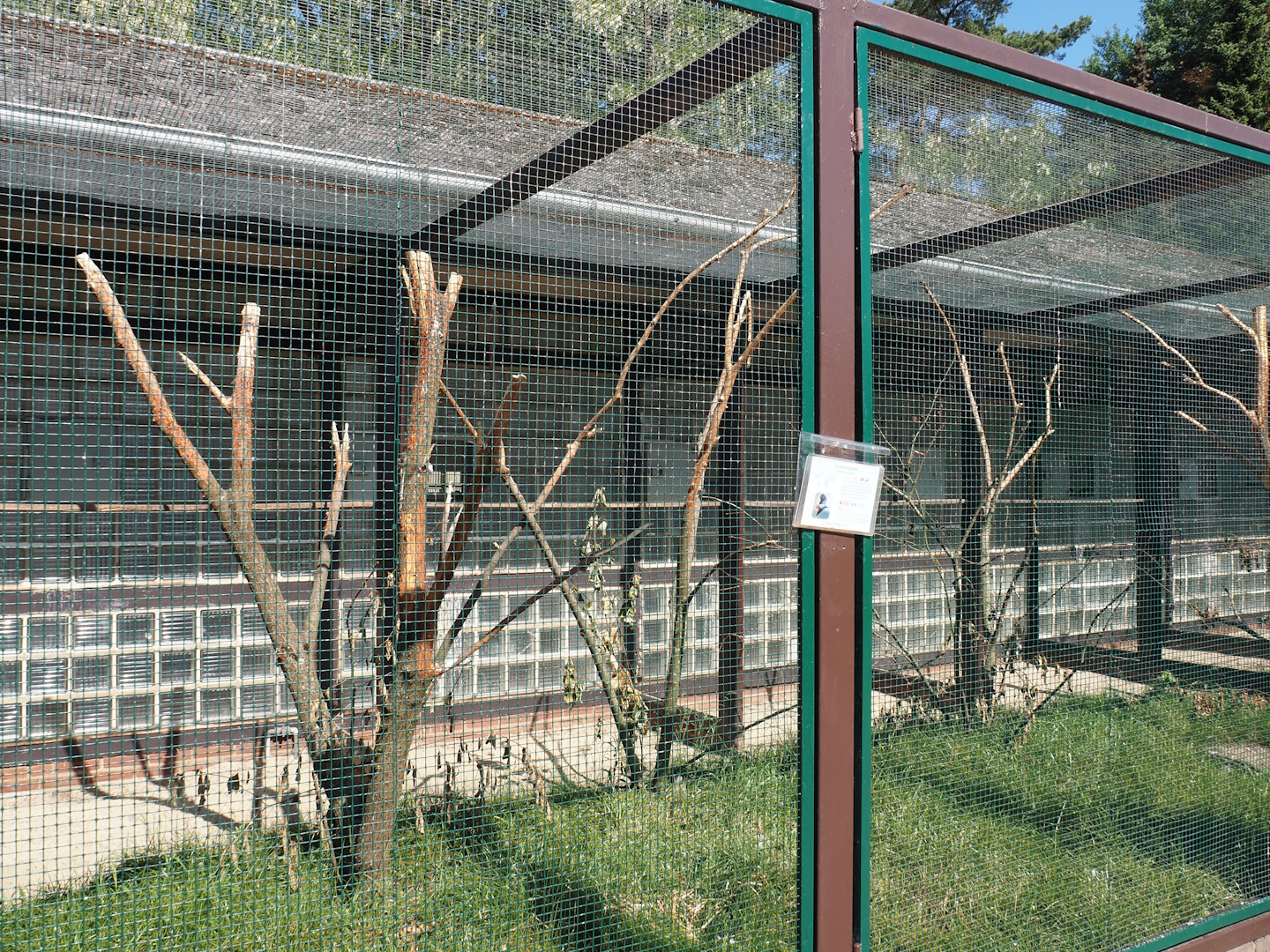 African parrot aviary, 2024-05-23