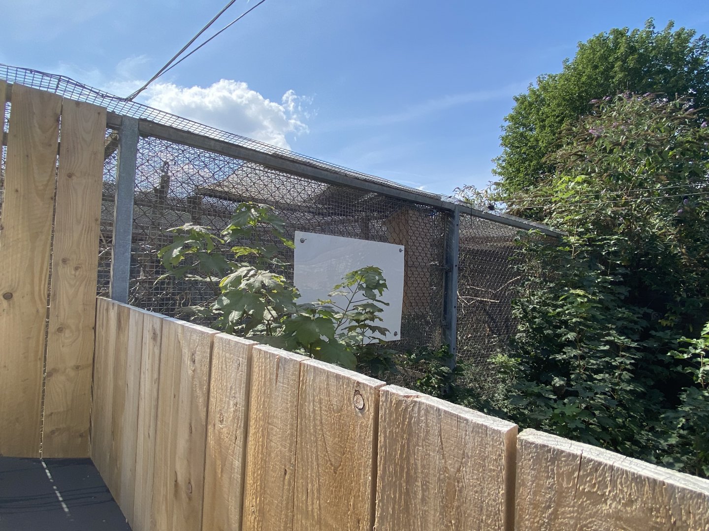 African parrot aviary